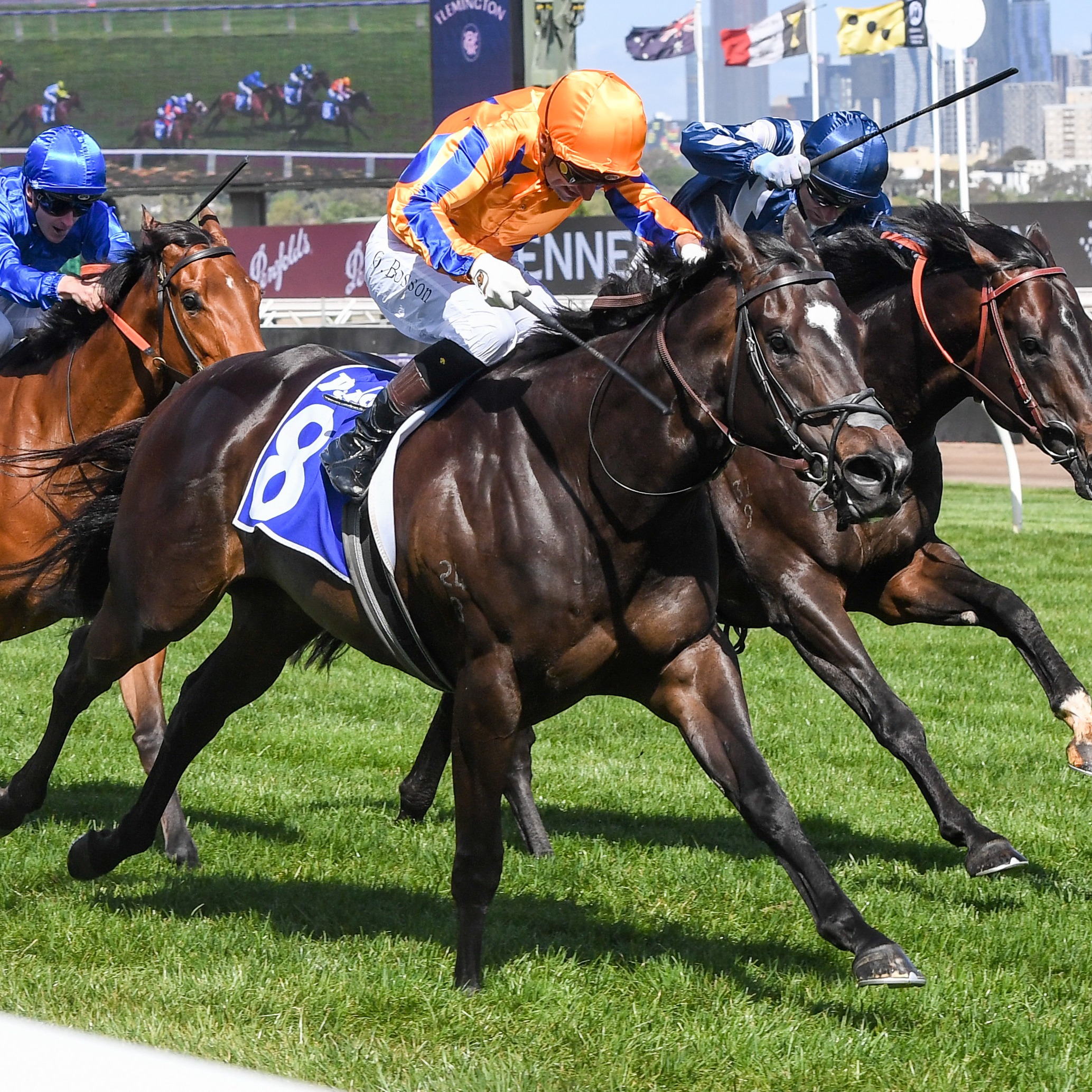 Racing Previews