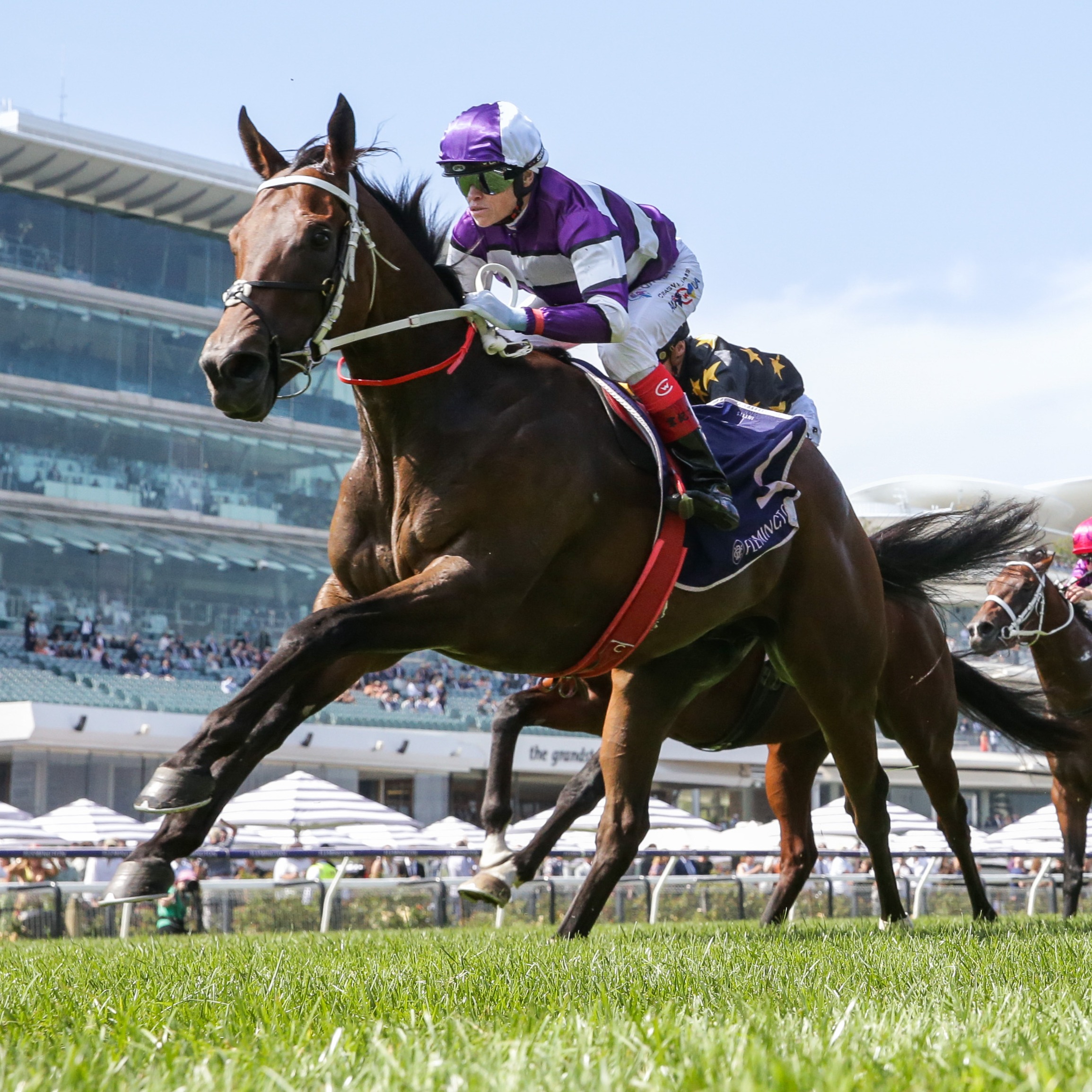 Racing Previews