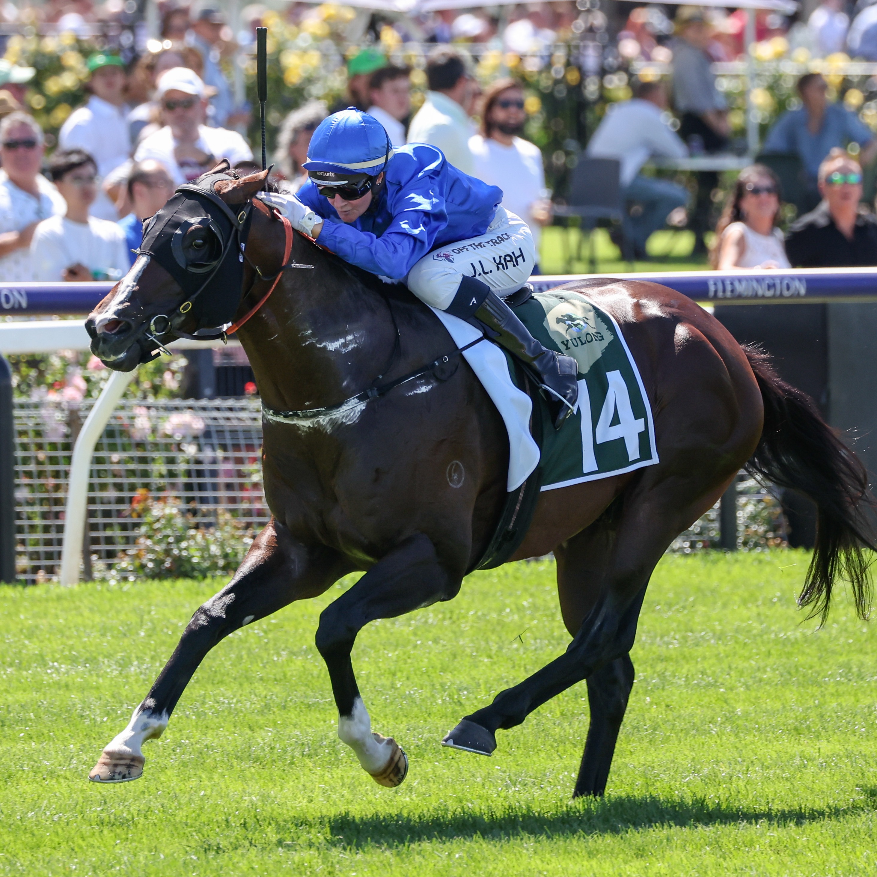 Racing Previews