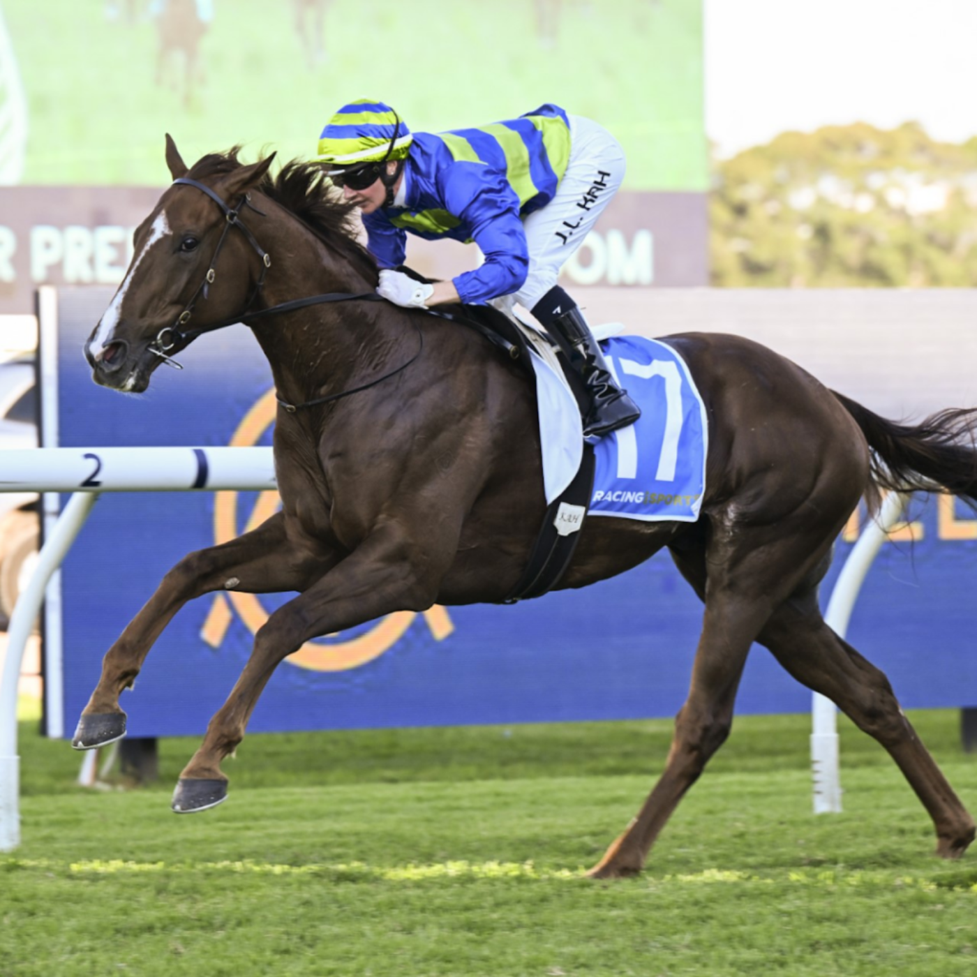 Racing Previews