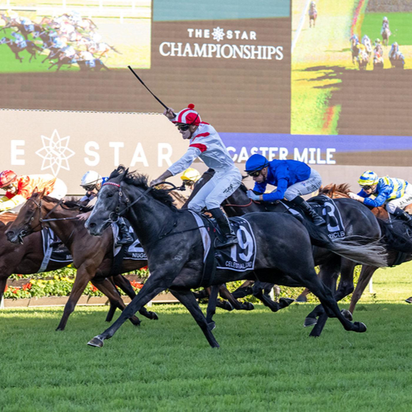 Racing Previews