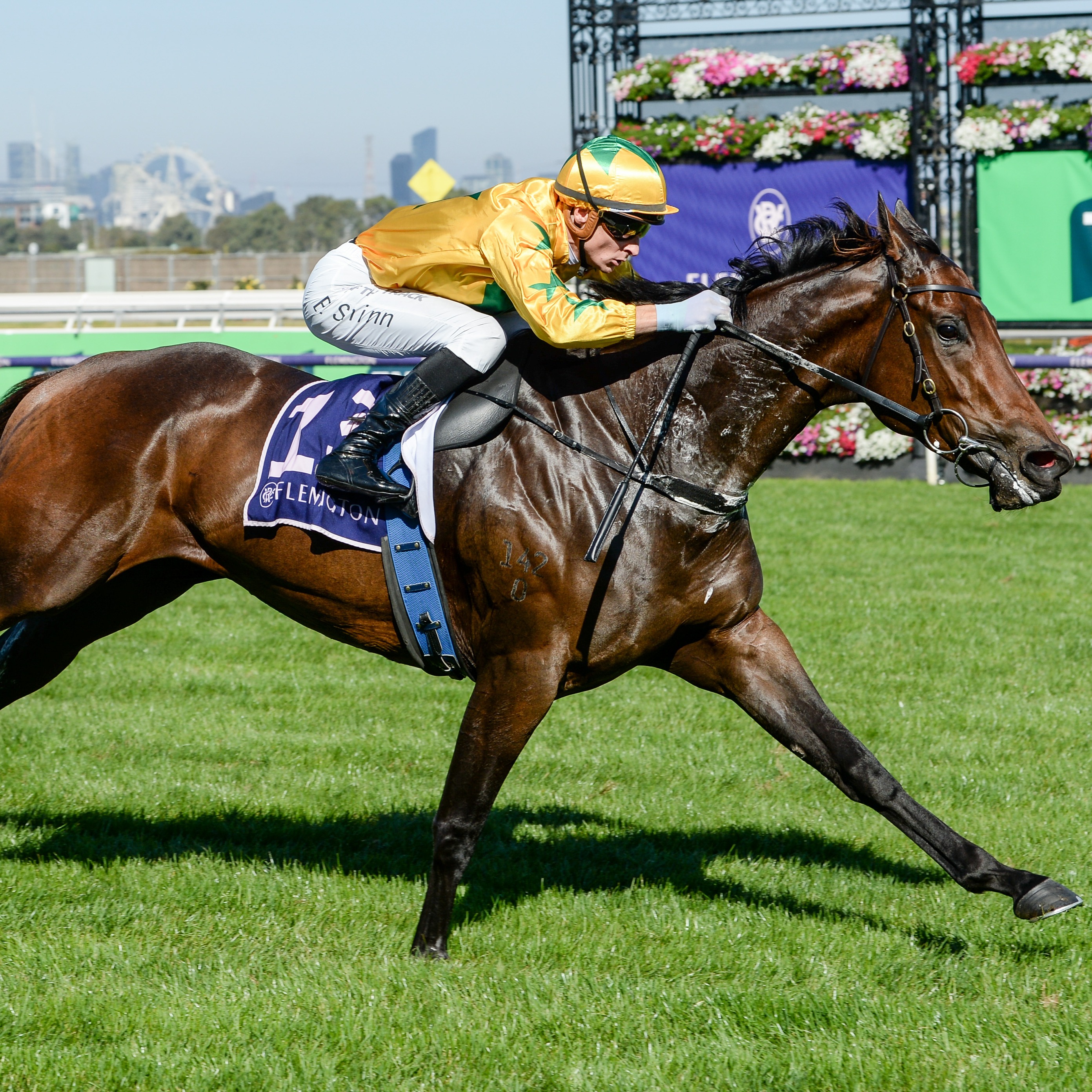 Racing Previews
