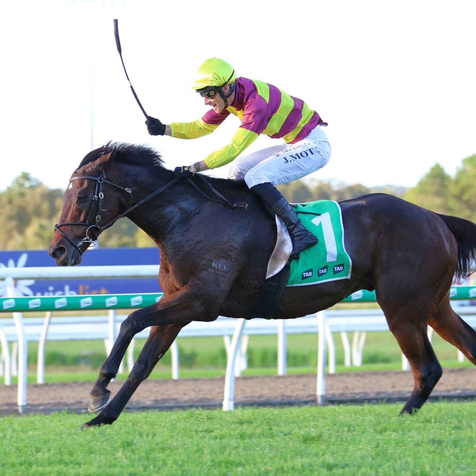 Racing Previews