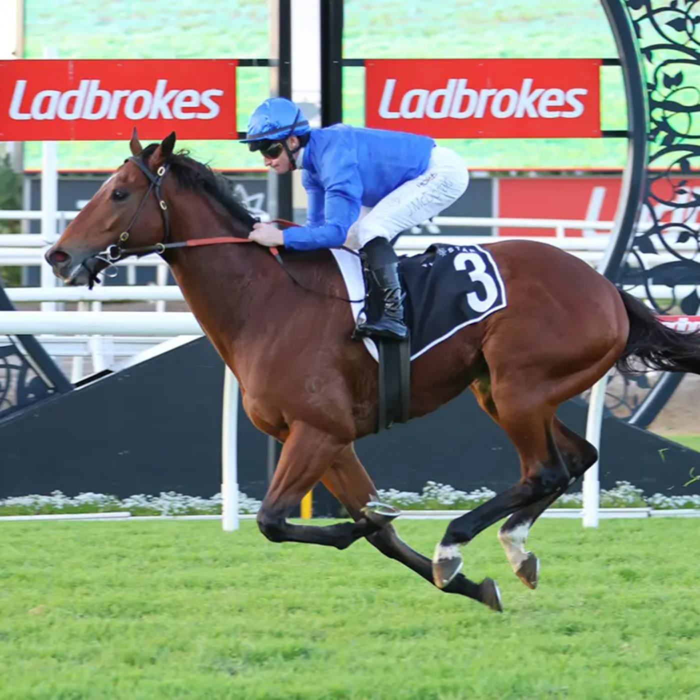 Racing Previews