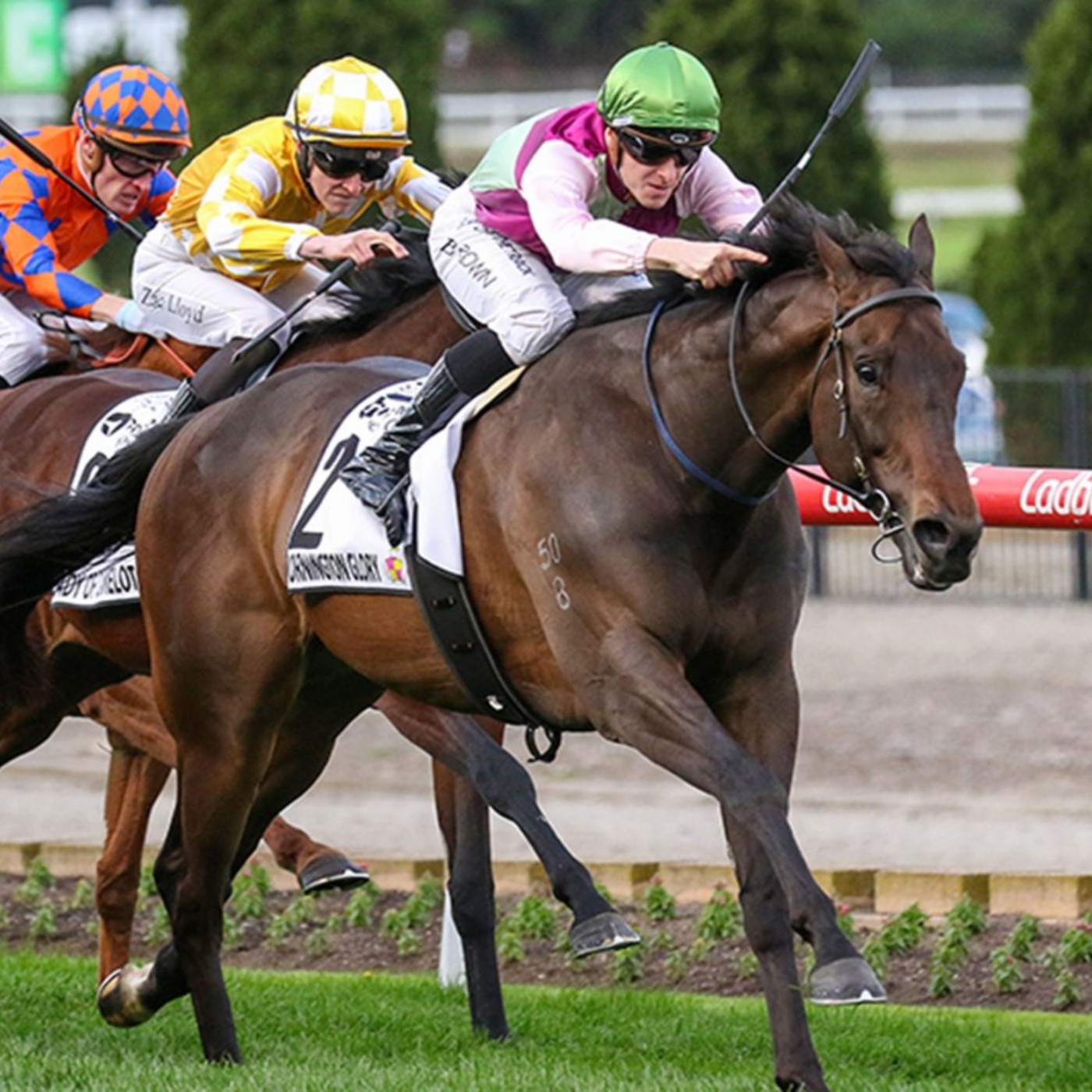 Racing Previews
