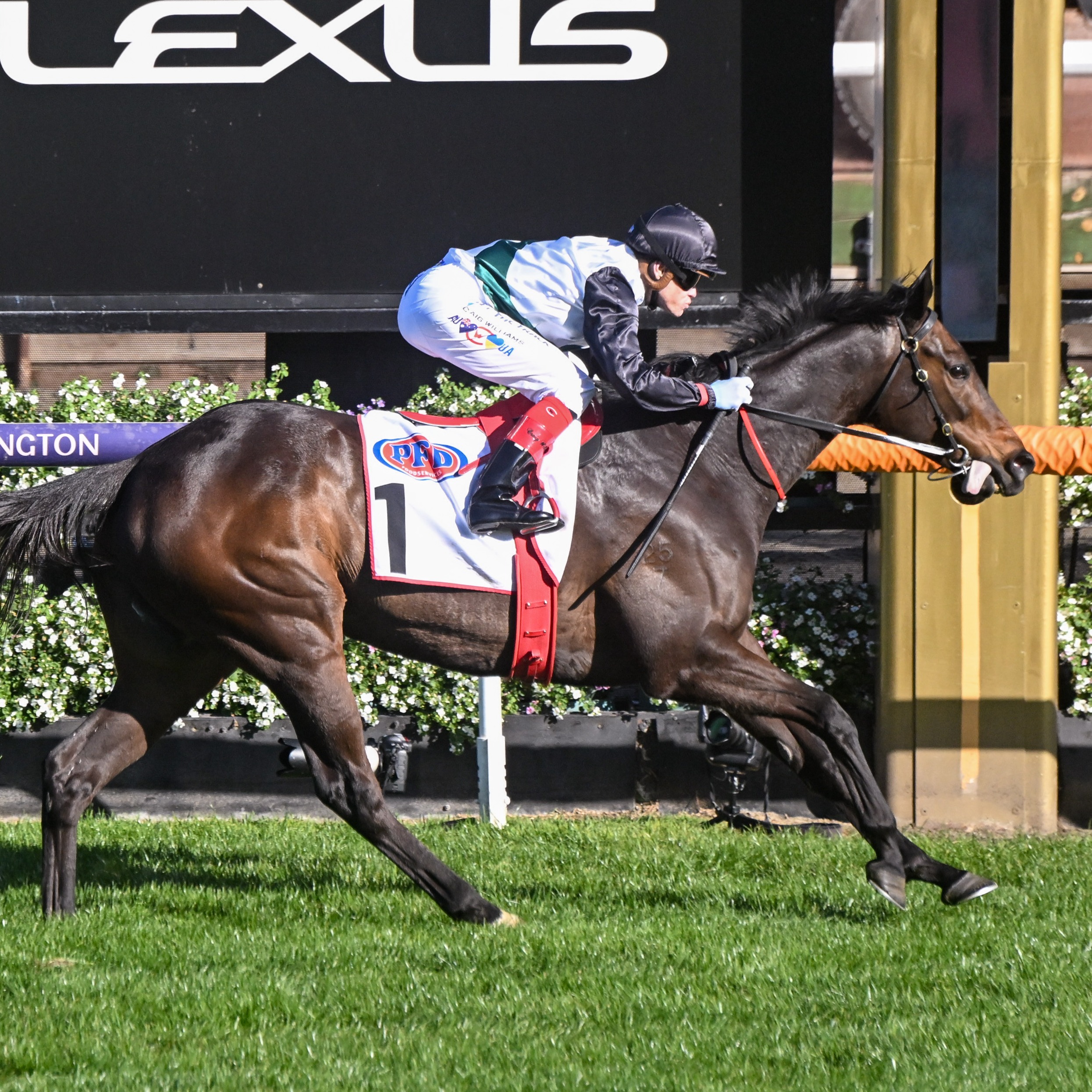 Racing Previews