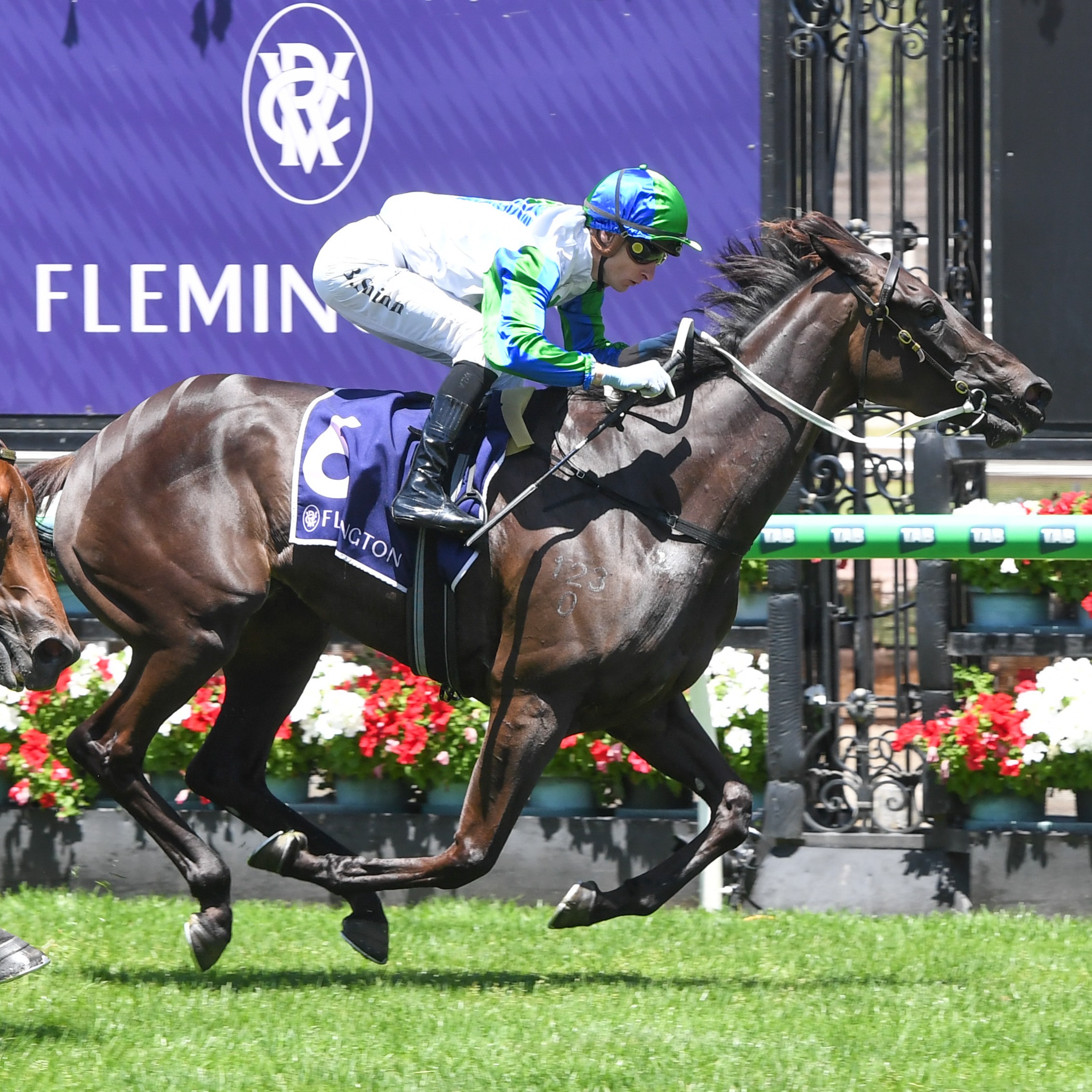 Racing Previews