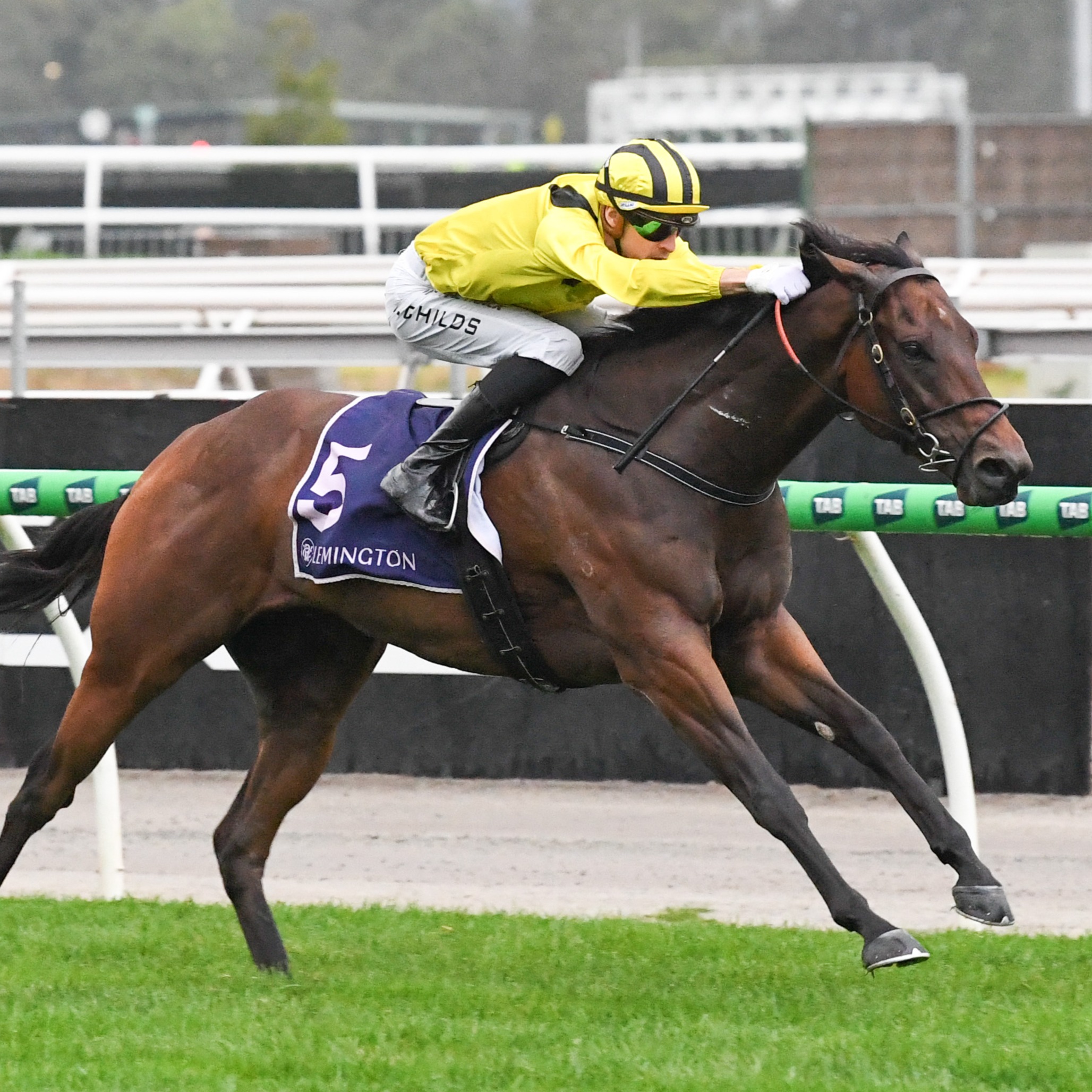 Racing Previews