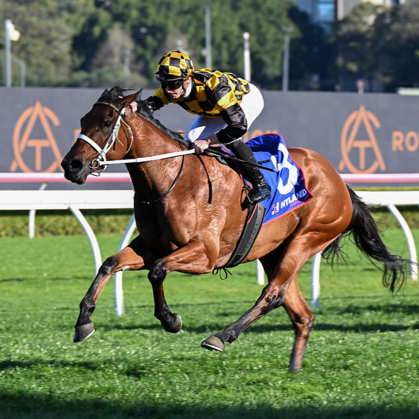 Racing Previews