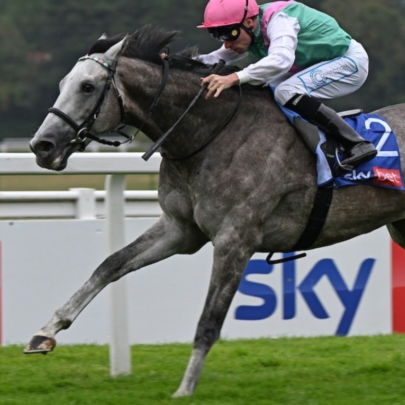 Racing Previews