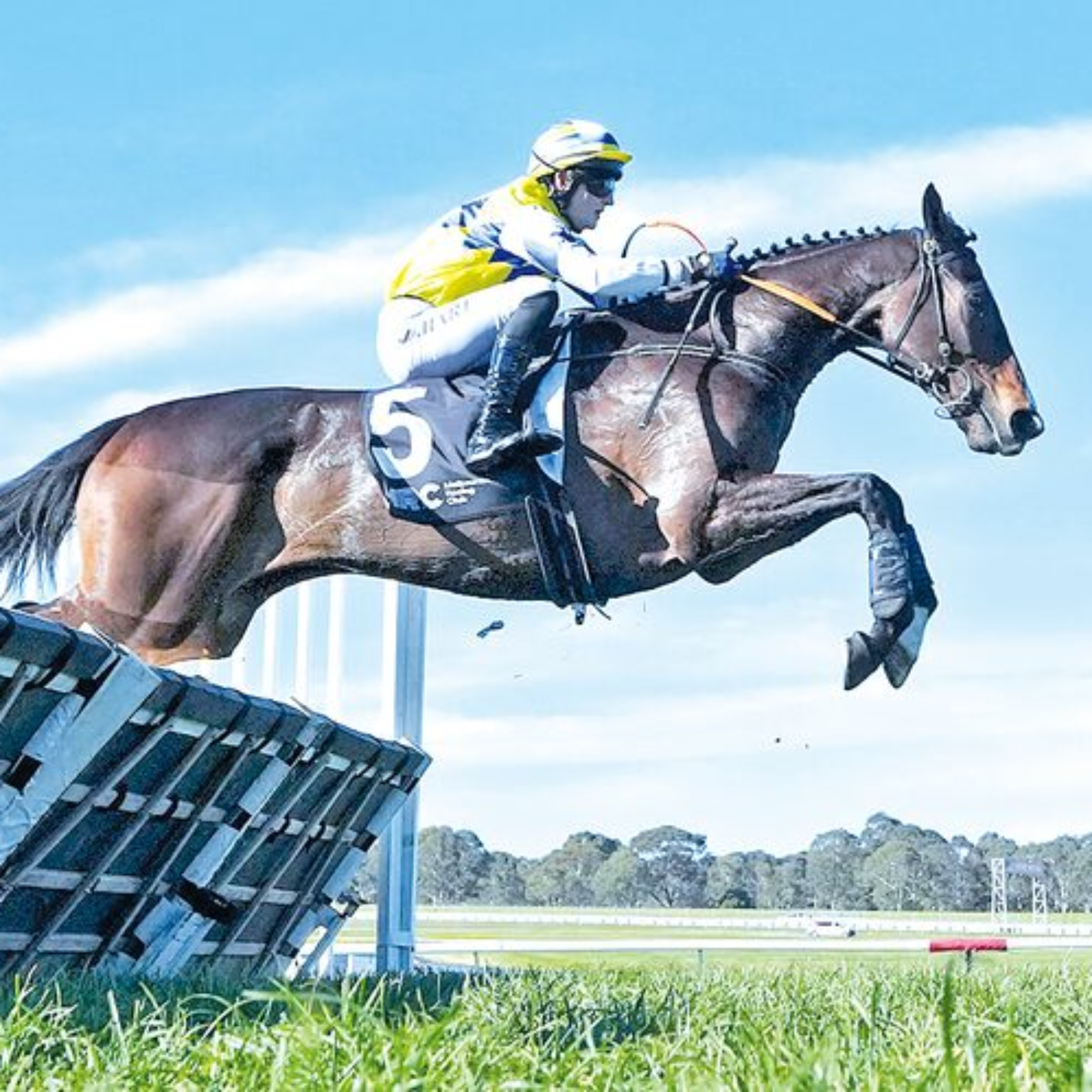 Warrnambool May Carnival 2026 Preview w/ Mitch Ellis episode artwork