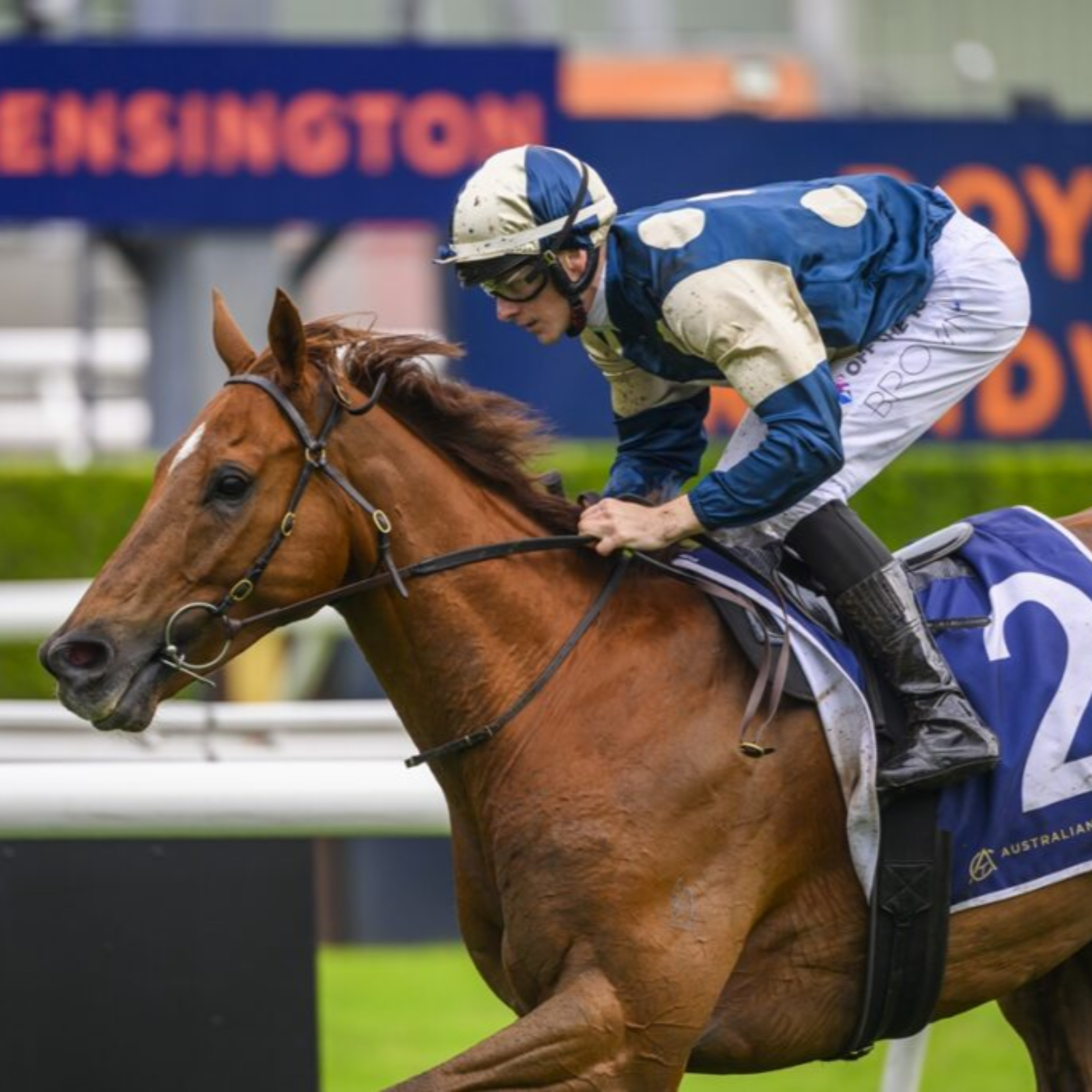 Doomben 10,000 & Andrew Ramsden Preview episode artwork