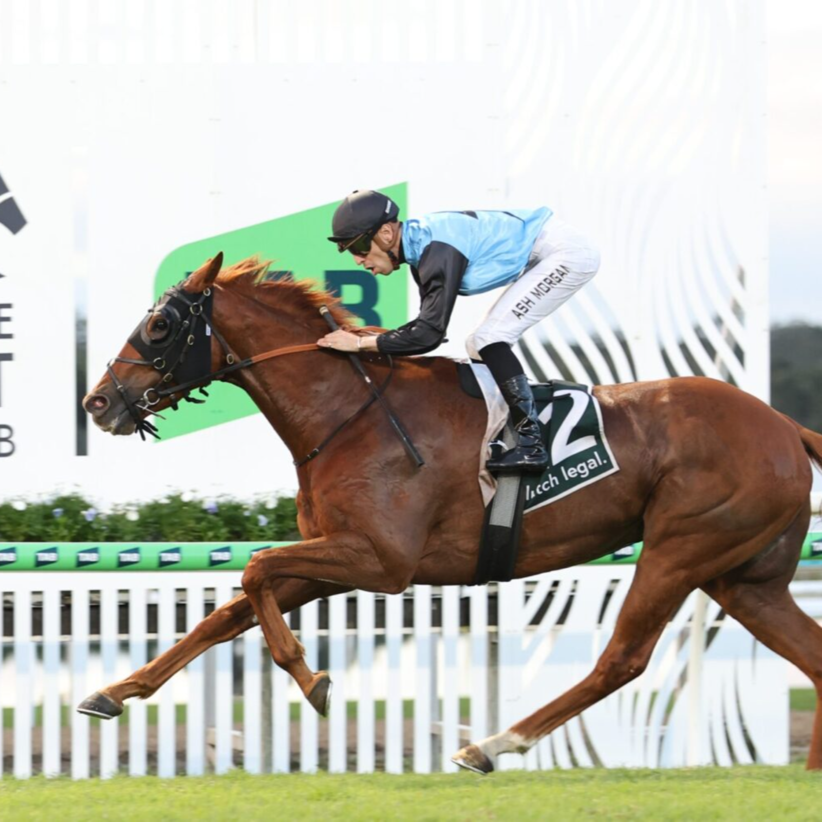 Doomben Cup & Sandown Preview episode artwork