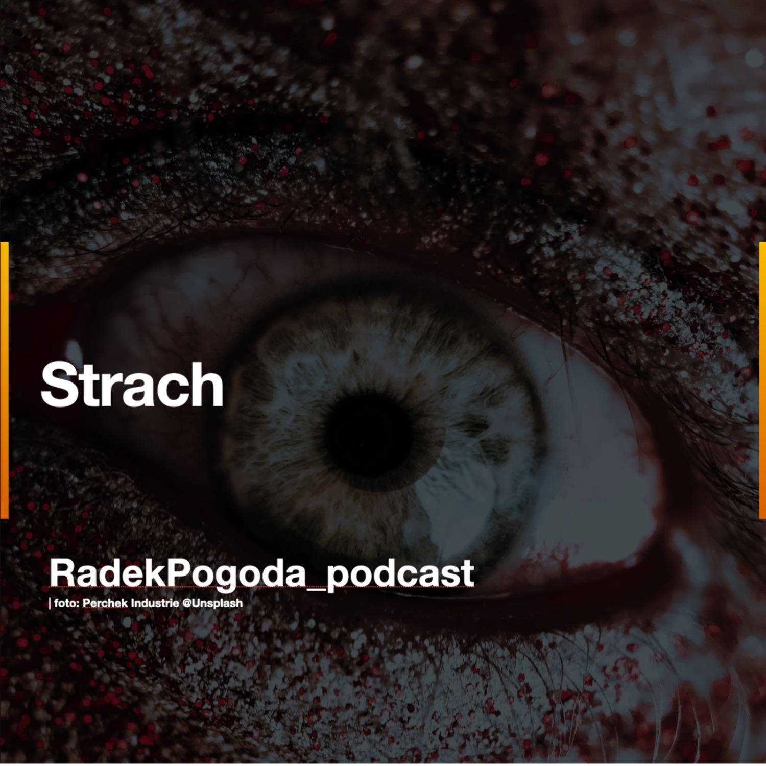 Radek Pogoda - PoGOOD