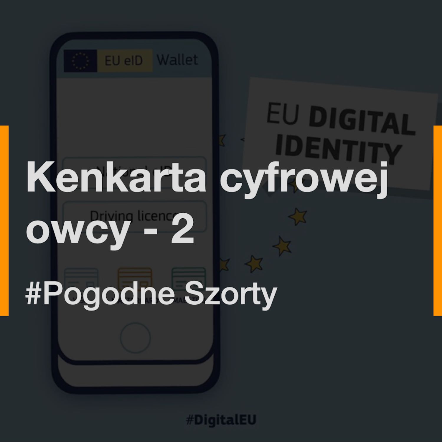 Pogodne Szorty: Kenkarta cyfrowej owcy - 2 episode artwork