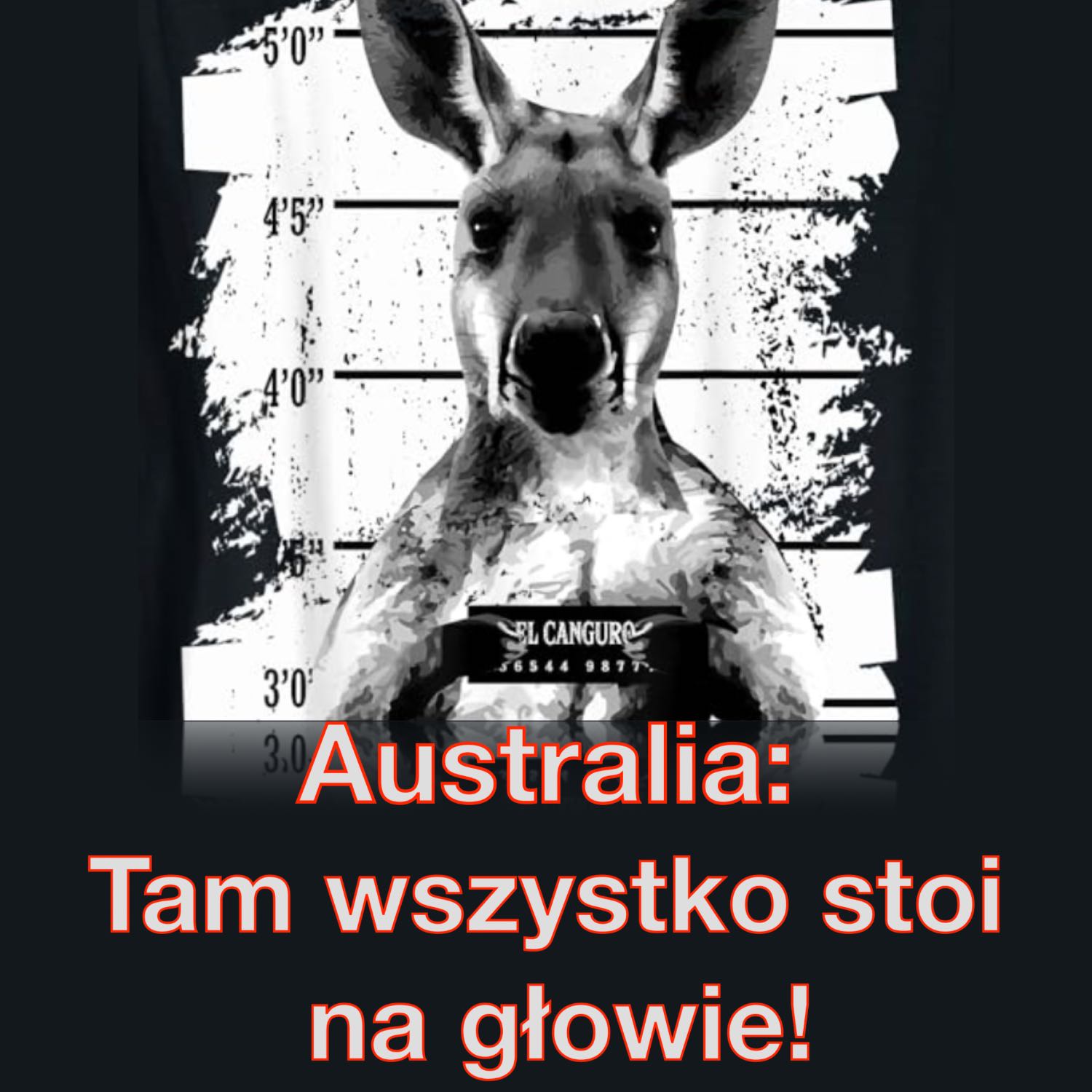Migracja #7: Australia - tam wszystko stoi na głowie! | Pogodne Szorty #78 episode artwork