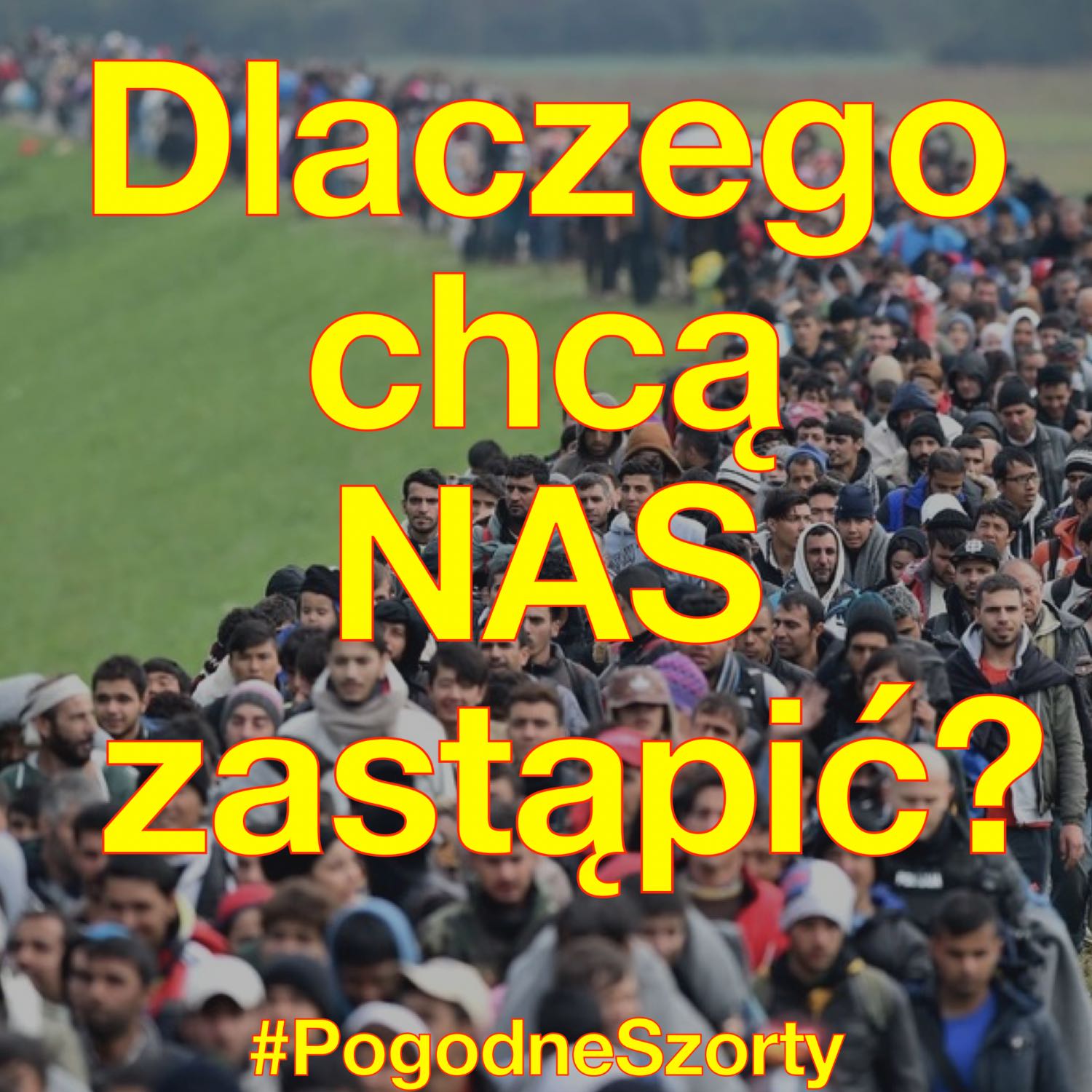 Migracja #8: Dlaczego chcą nas zastąpić? | Pogodne Szorty #82 episode artwork