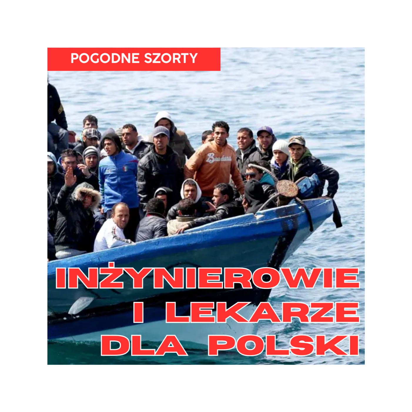 Inżynierowie i lekarze dla... Polski? | Pogodne Szorty #191 episode artwork
