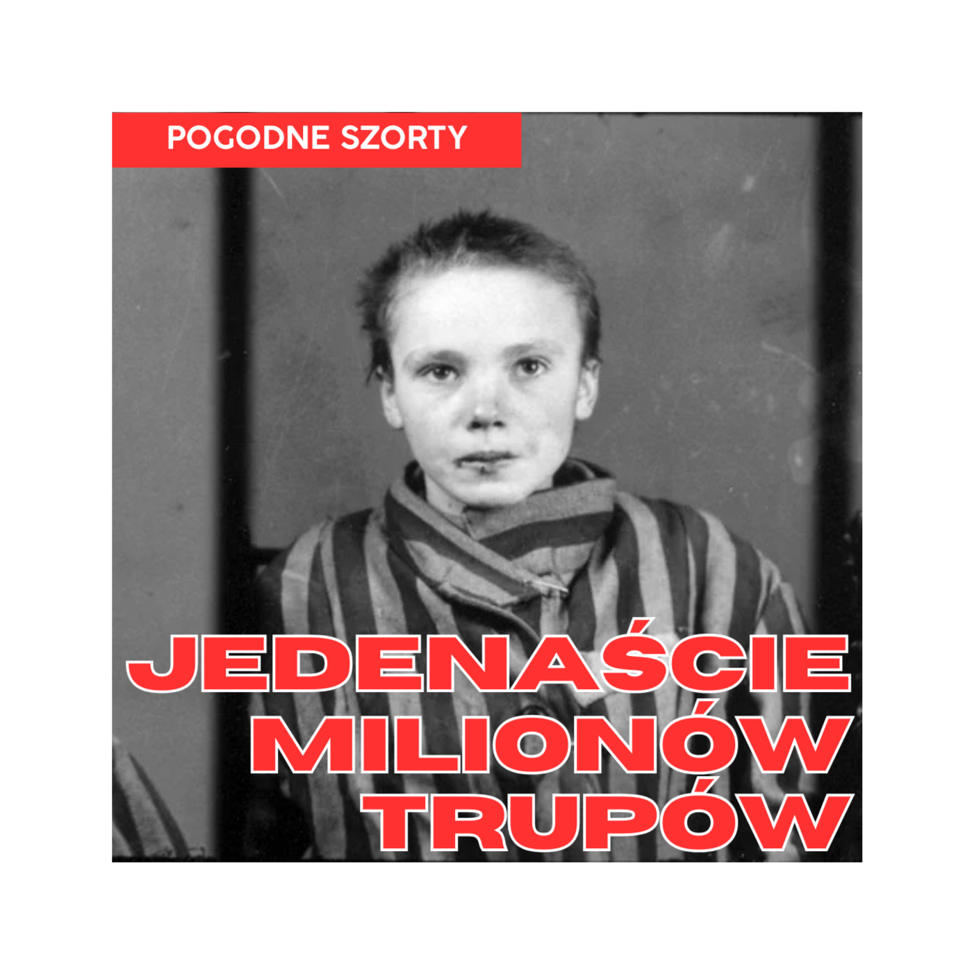 Jedenaście milionów trupów... | Niemieckie obozy koncentracyjne | Pogodne Szorty #190 episode artwork