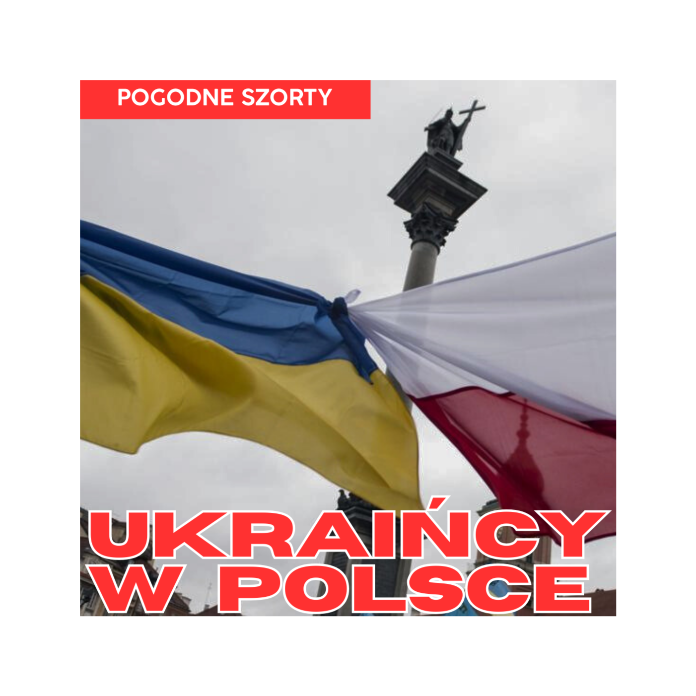 Radek Pogoda - PoGOOD