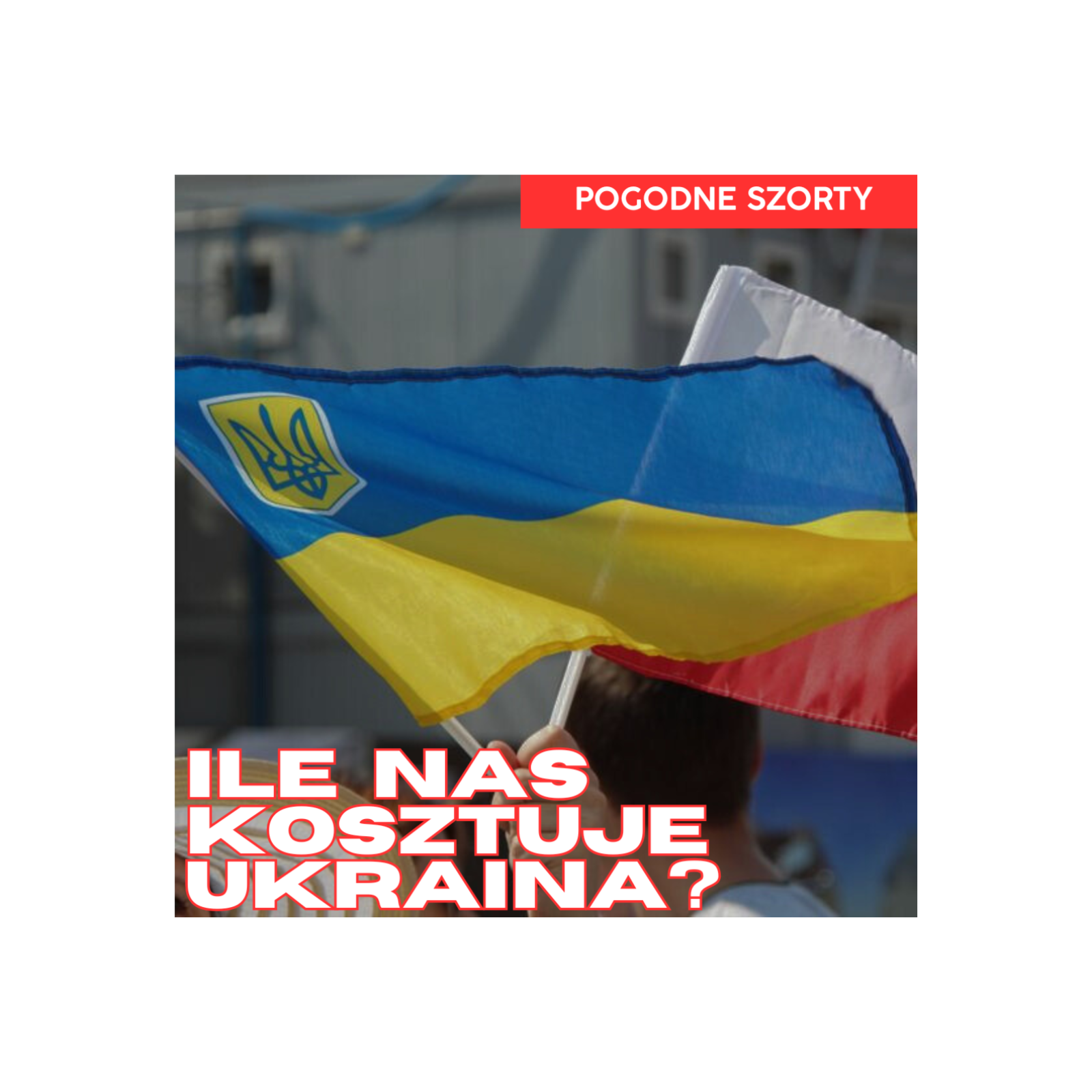 Ile nas kosztowało utrzymywanie Ukrainy i Ukraińców? | Pogodne Szorty #252 episode artwork