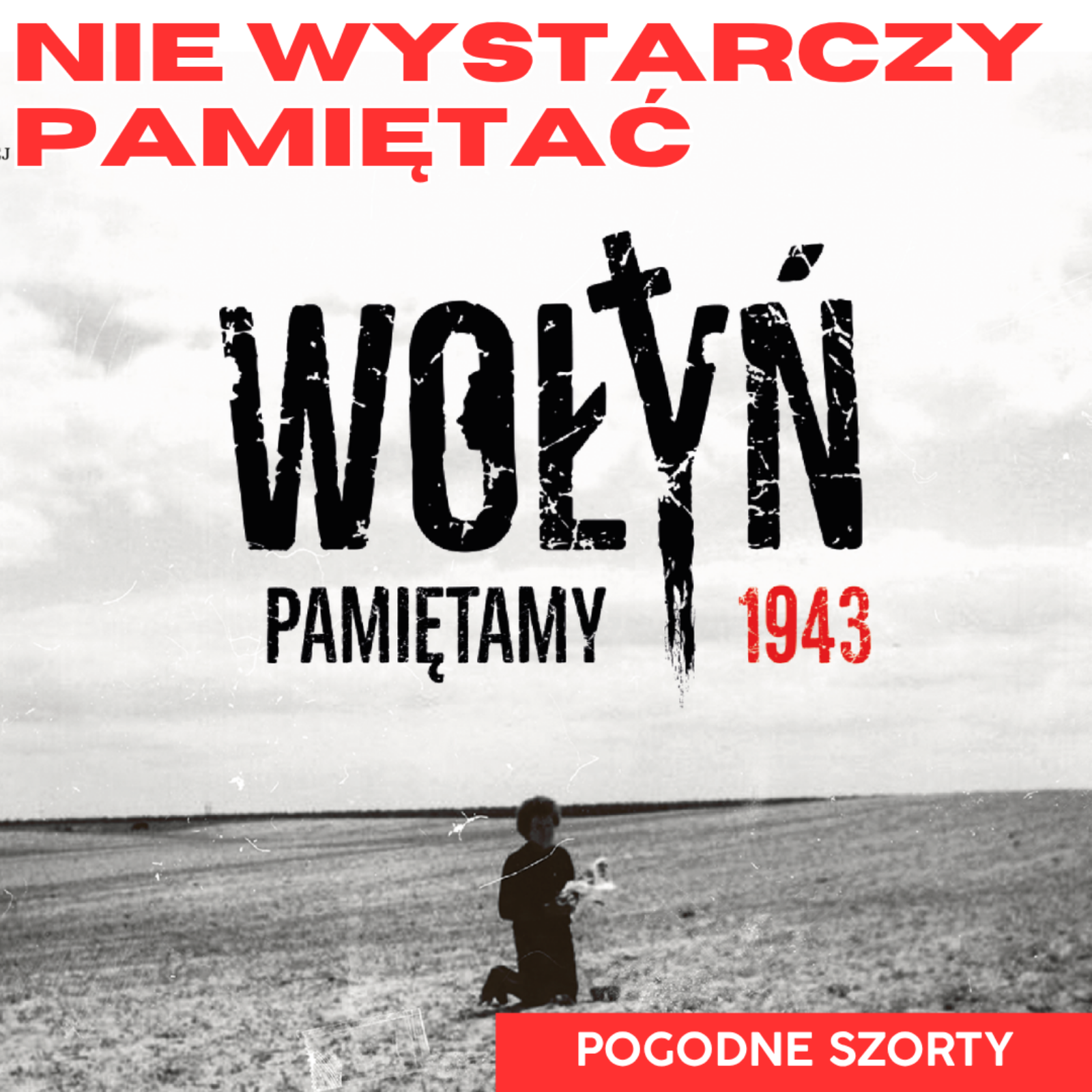 A politykom wieczna hańba... | Pogodne Szorty #301 episode artwork