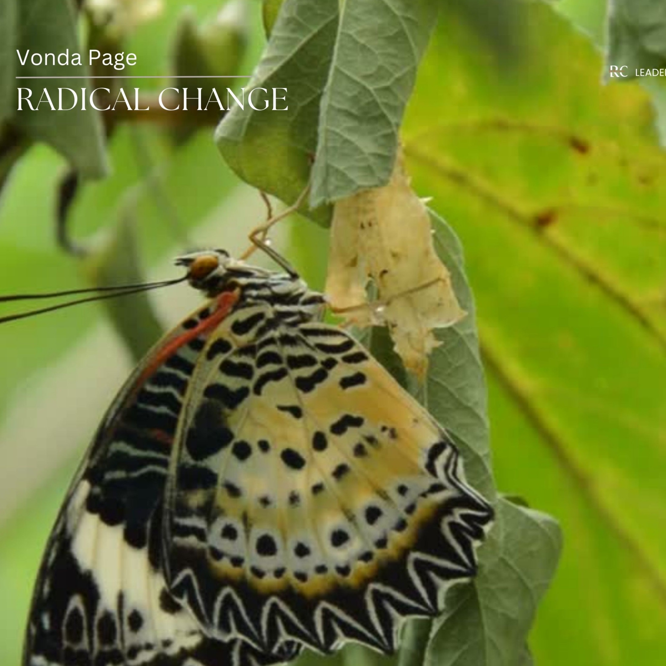 Manage Radical Change: From Trauma to Transformation  - Healing From Narcissistic  Abuse