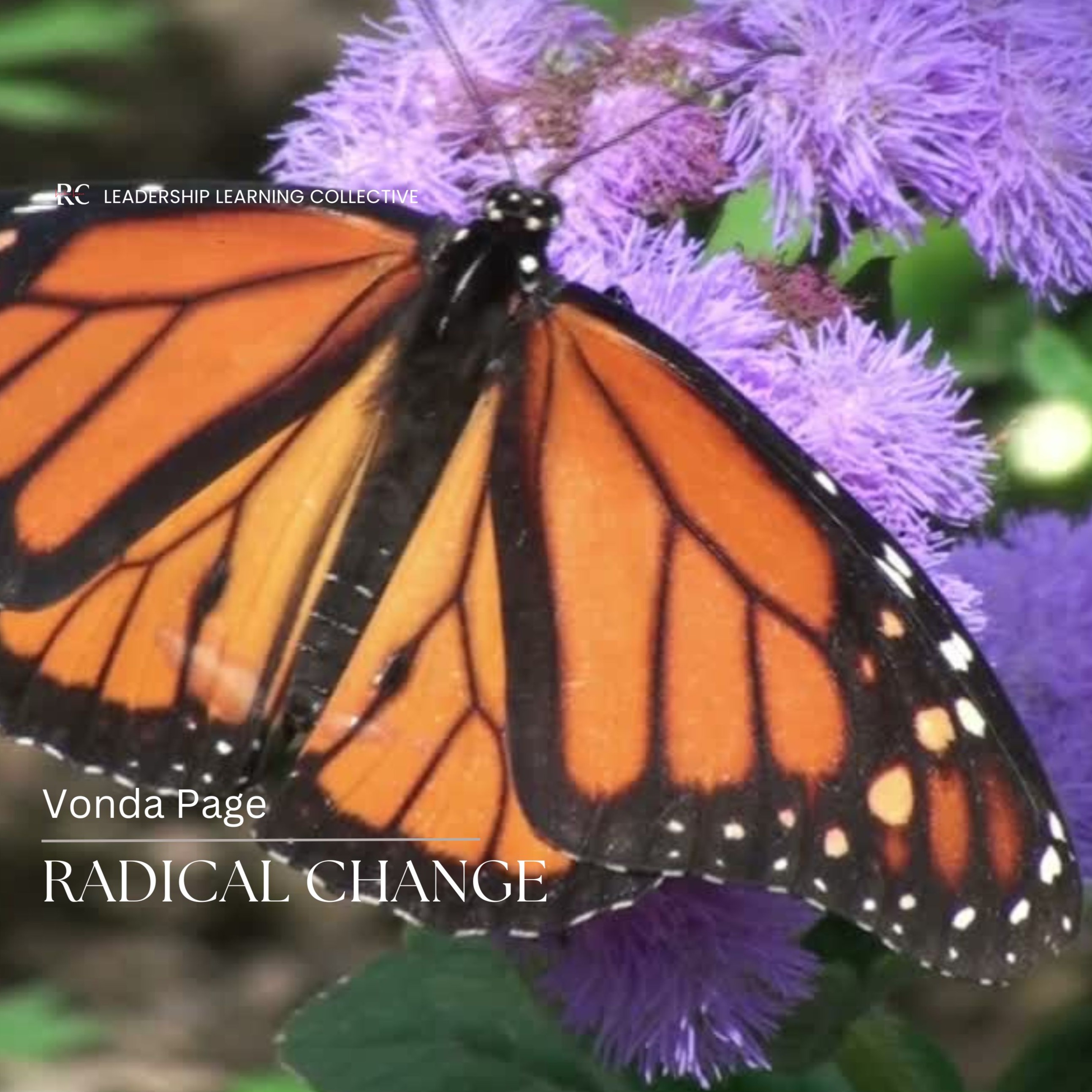 Manage Radical Change: From Trauma to Transformation  - Healing From Narcissistic  Abuse