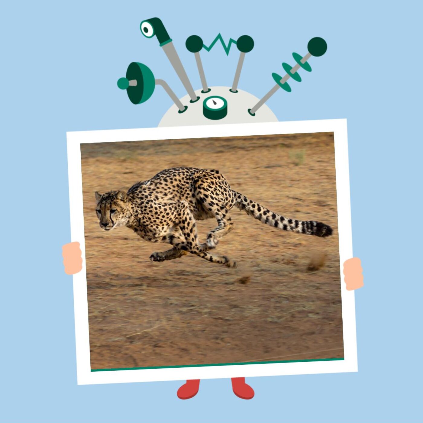 Hvad er det klogeste dyr i verden? Og andre dyrerekorder!