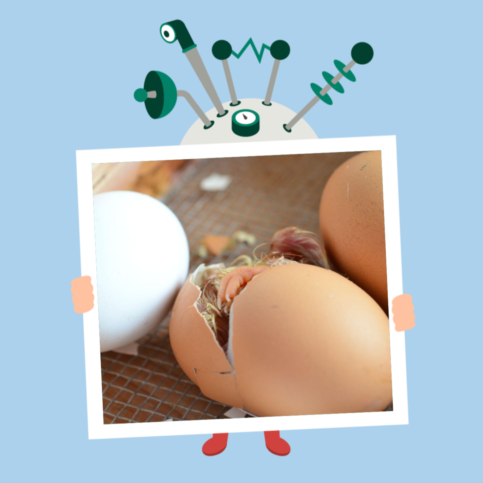 Hvad kom først, ægget eller hønen?