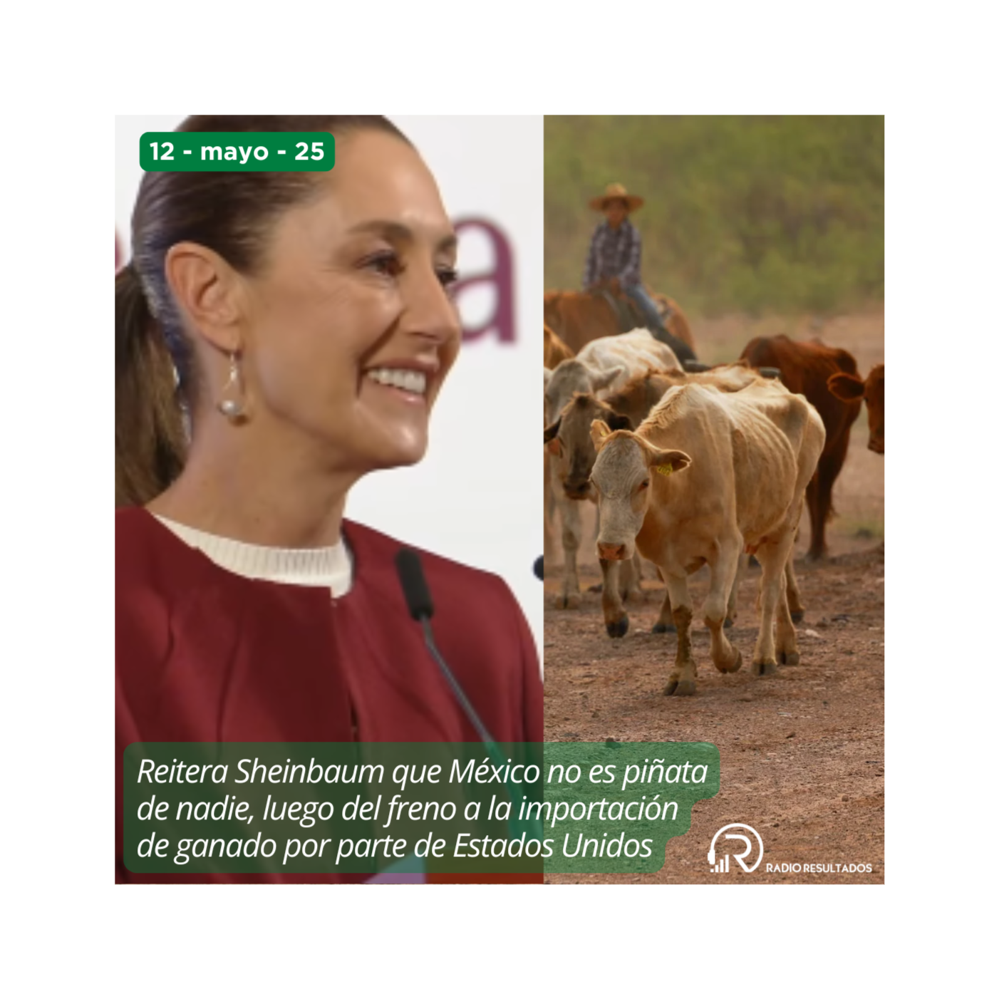 Noticias Radio Resultados