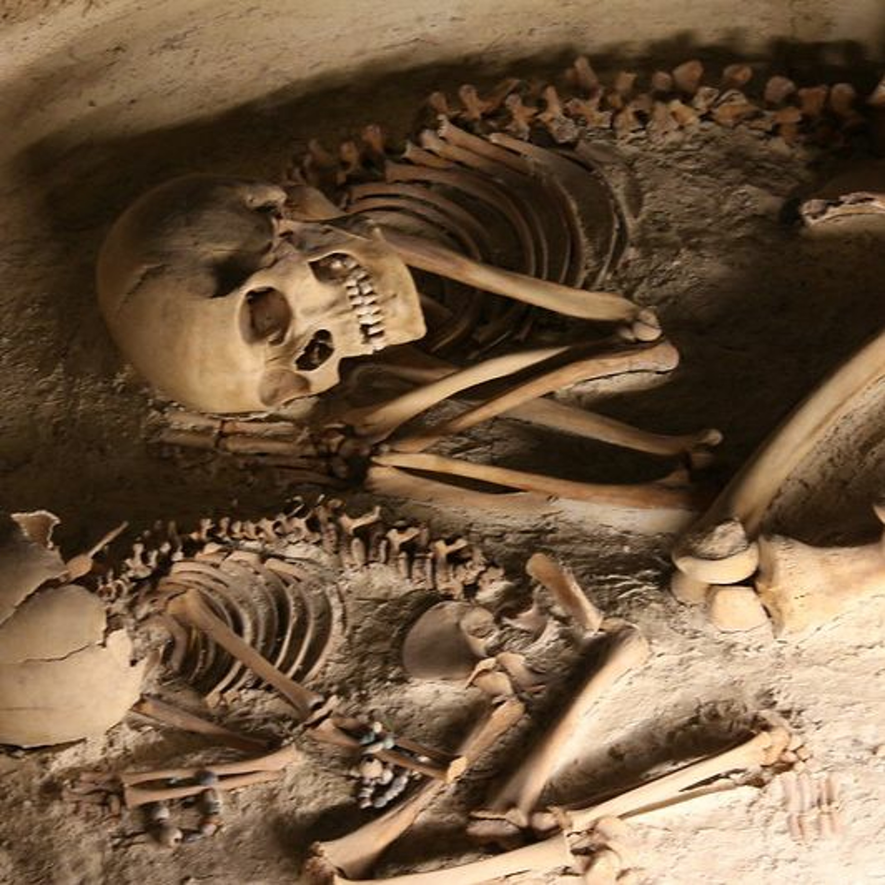 Column Milan Teunissen van Manen: De Archeologische Site episode artwork