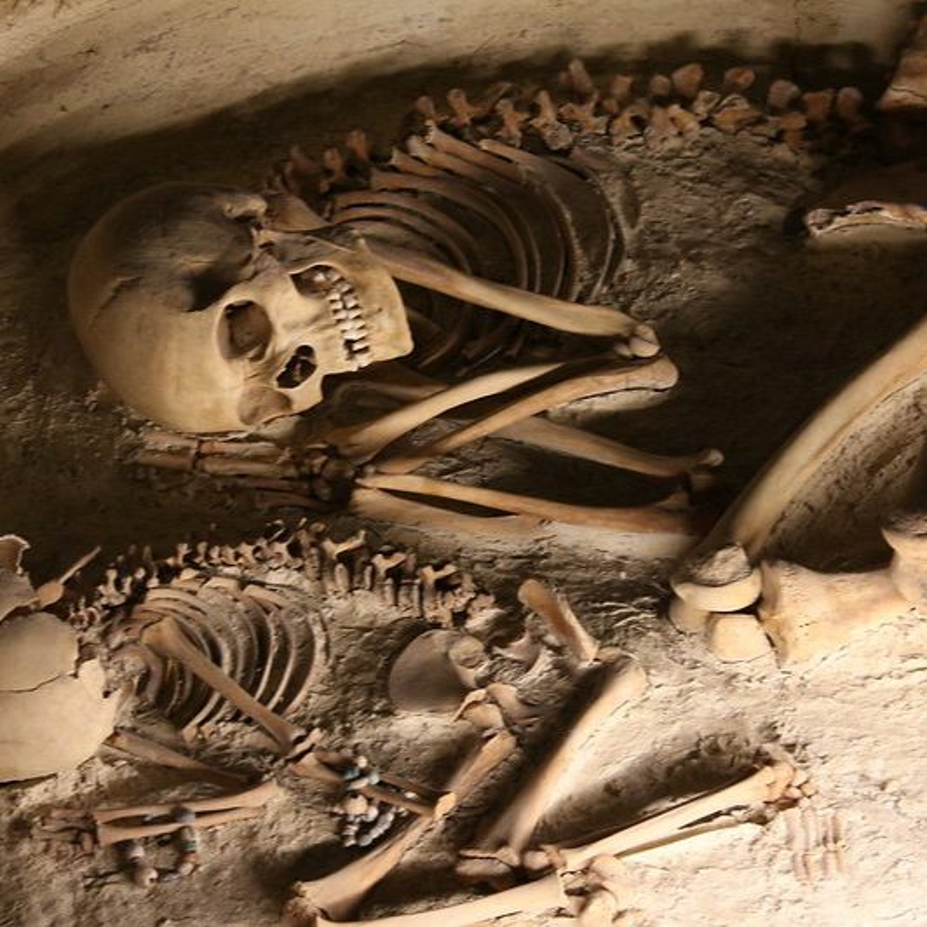 Osteoarcheologie episode artwork