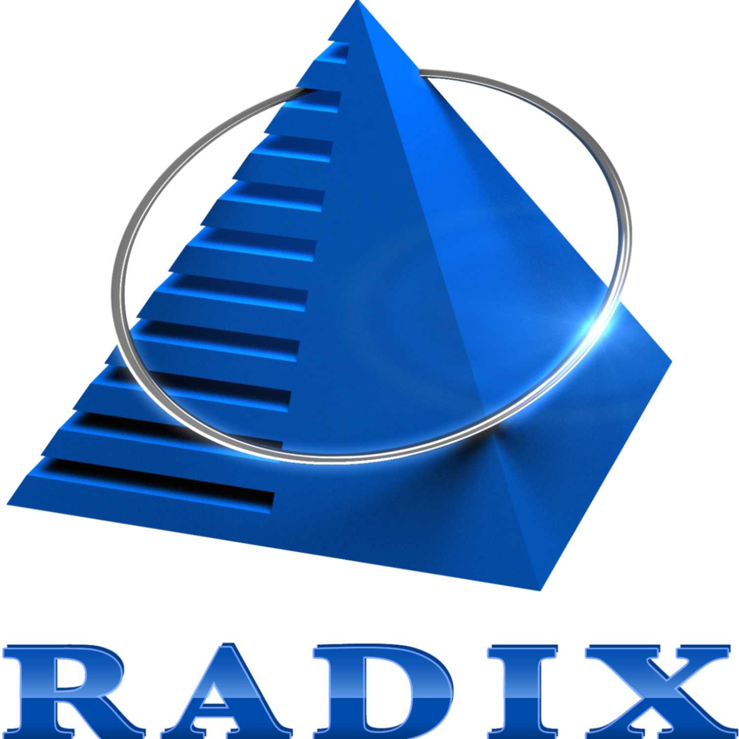 Radixweb Podcast