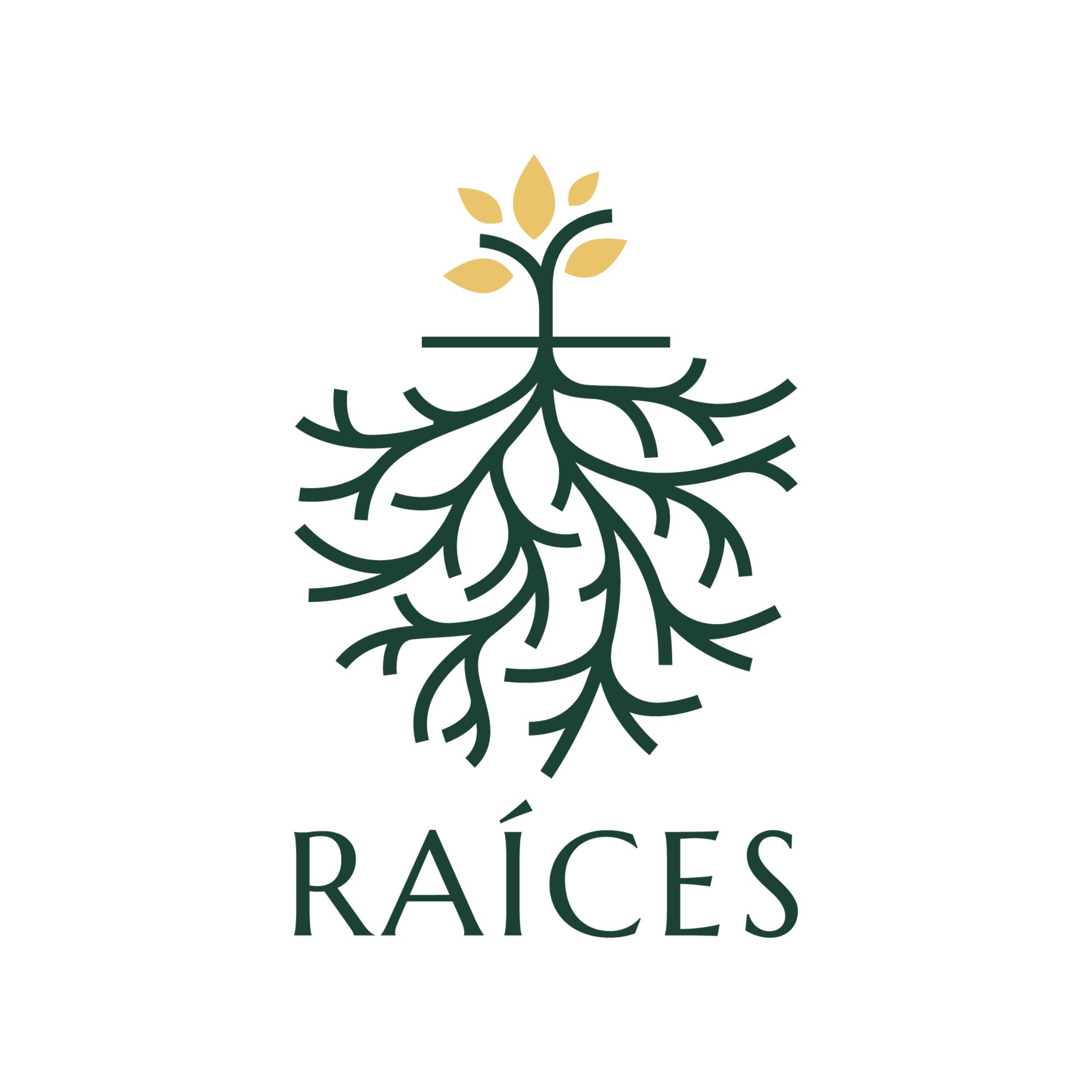 RAICES PODCAST podcast artwork