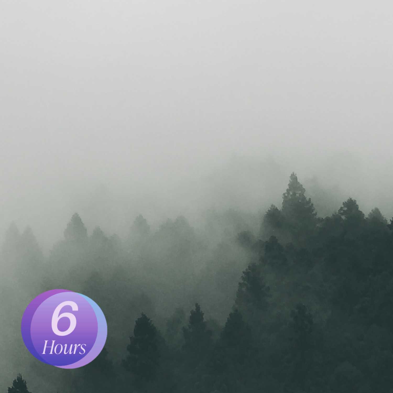 Wind On Mountain Ambience , Calming and Relaxing