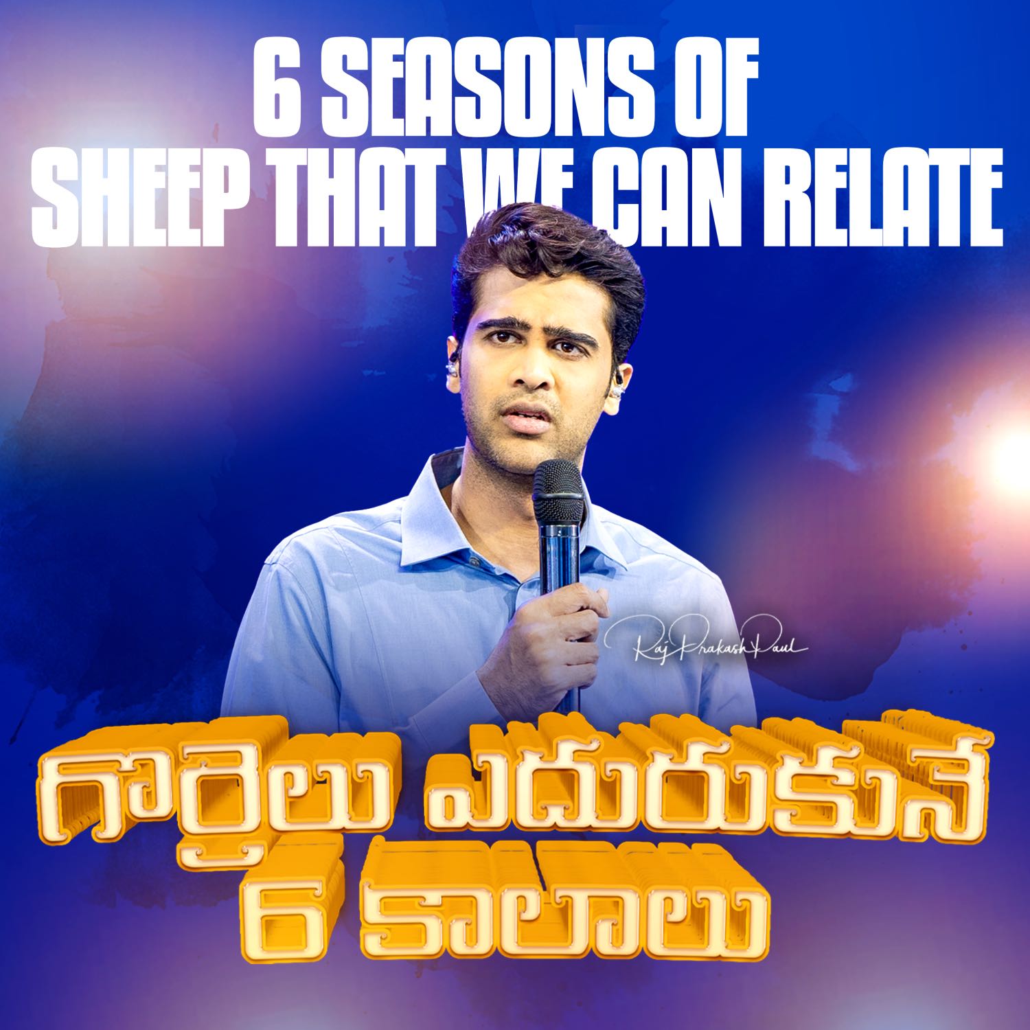 6 Seasons of Sheep that we can relate