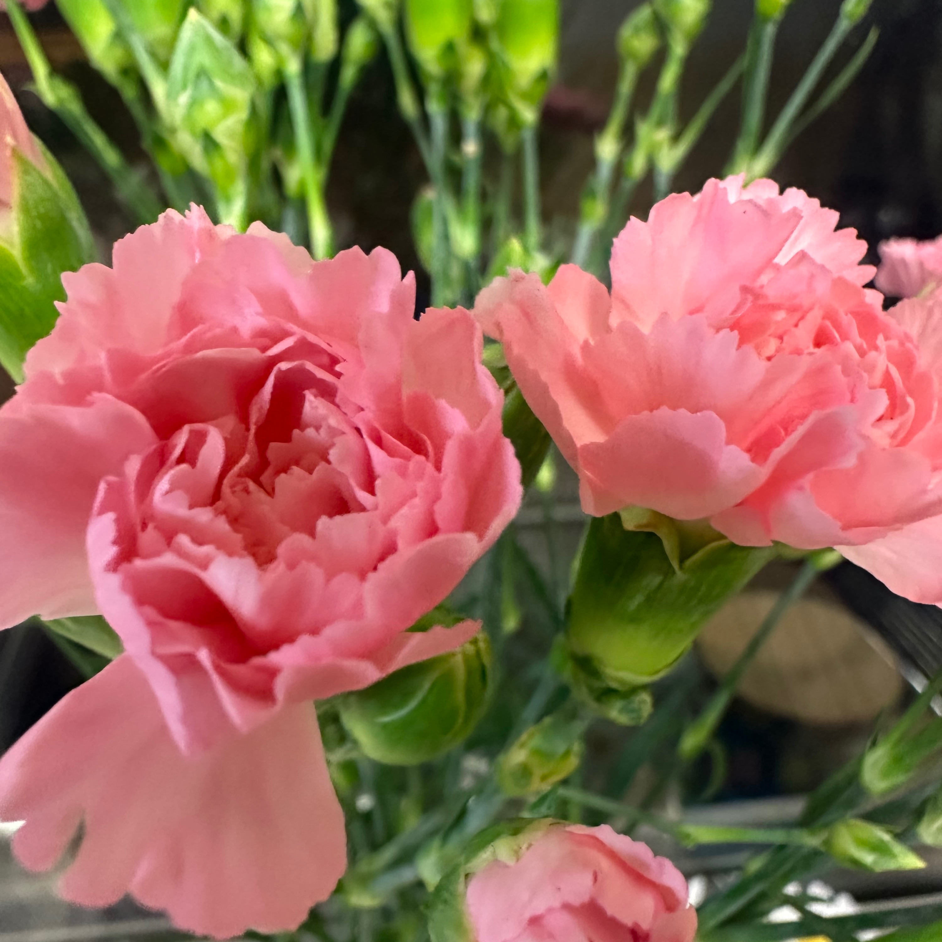 Ramadhan Reminder cover art