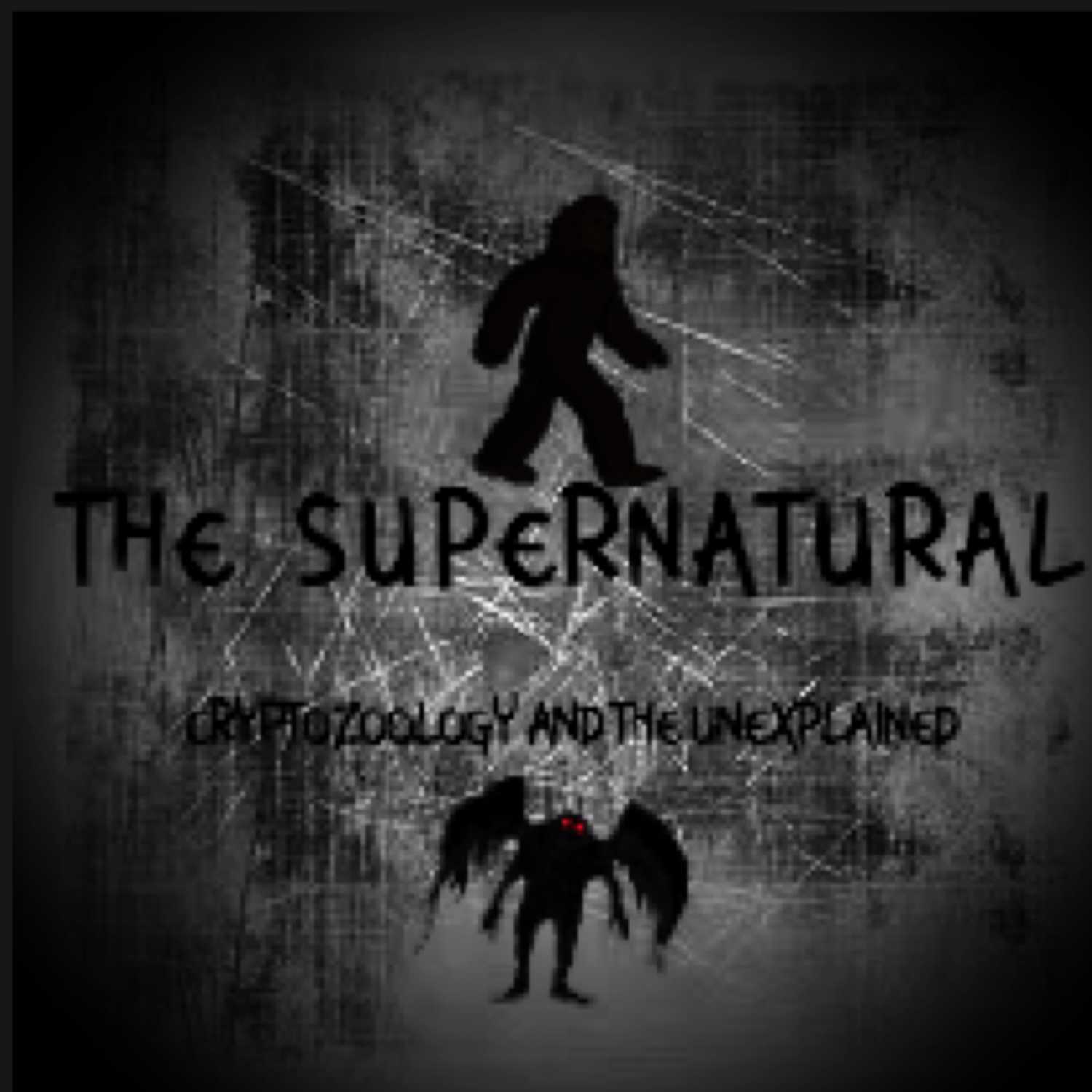 The Supernatural and the Unexplained Ep. 1 - The Mothman