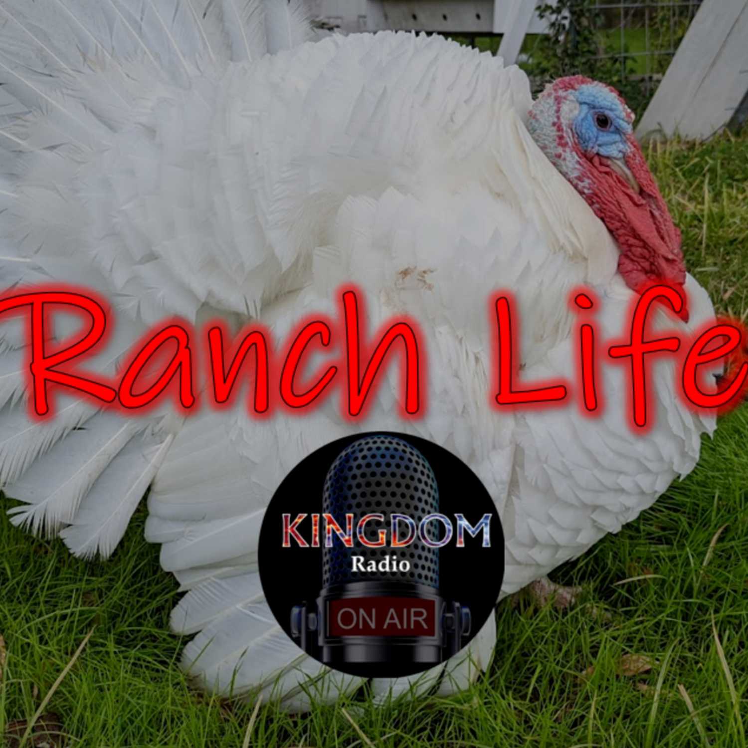 Ranch Life by Kingdom Radio
