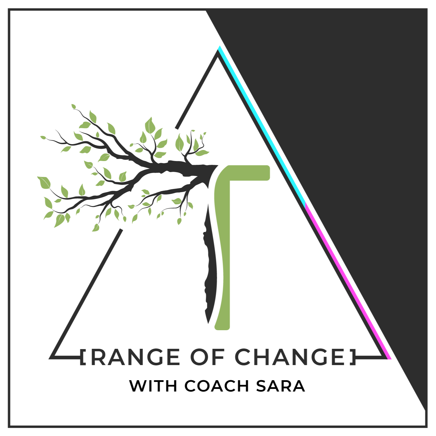 Group Coaching Interview