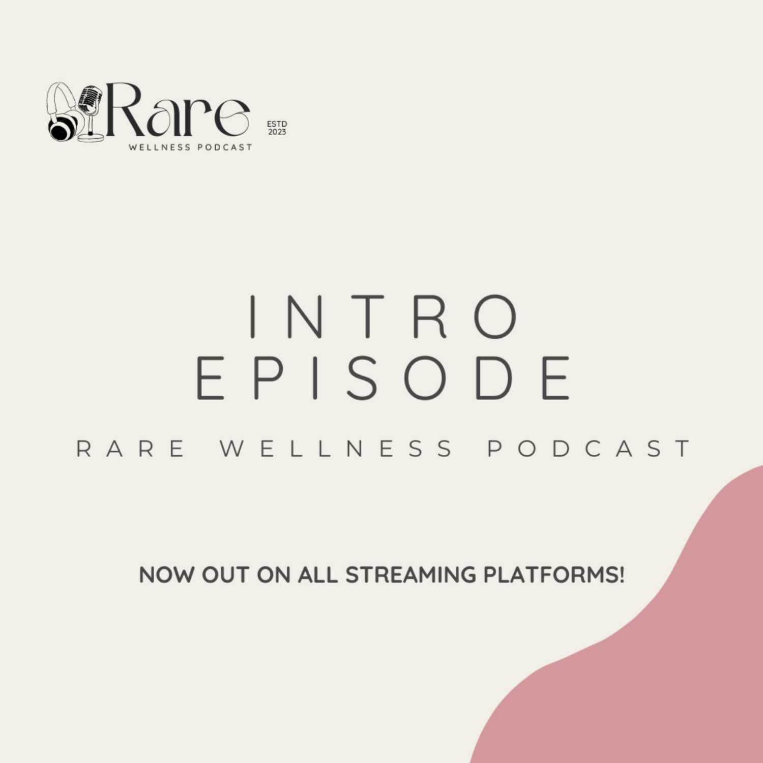 The Wealth and Wellness Studio