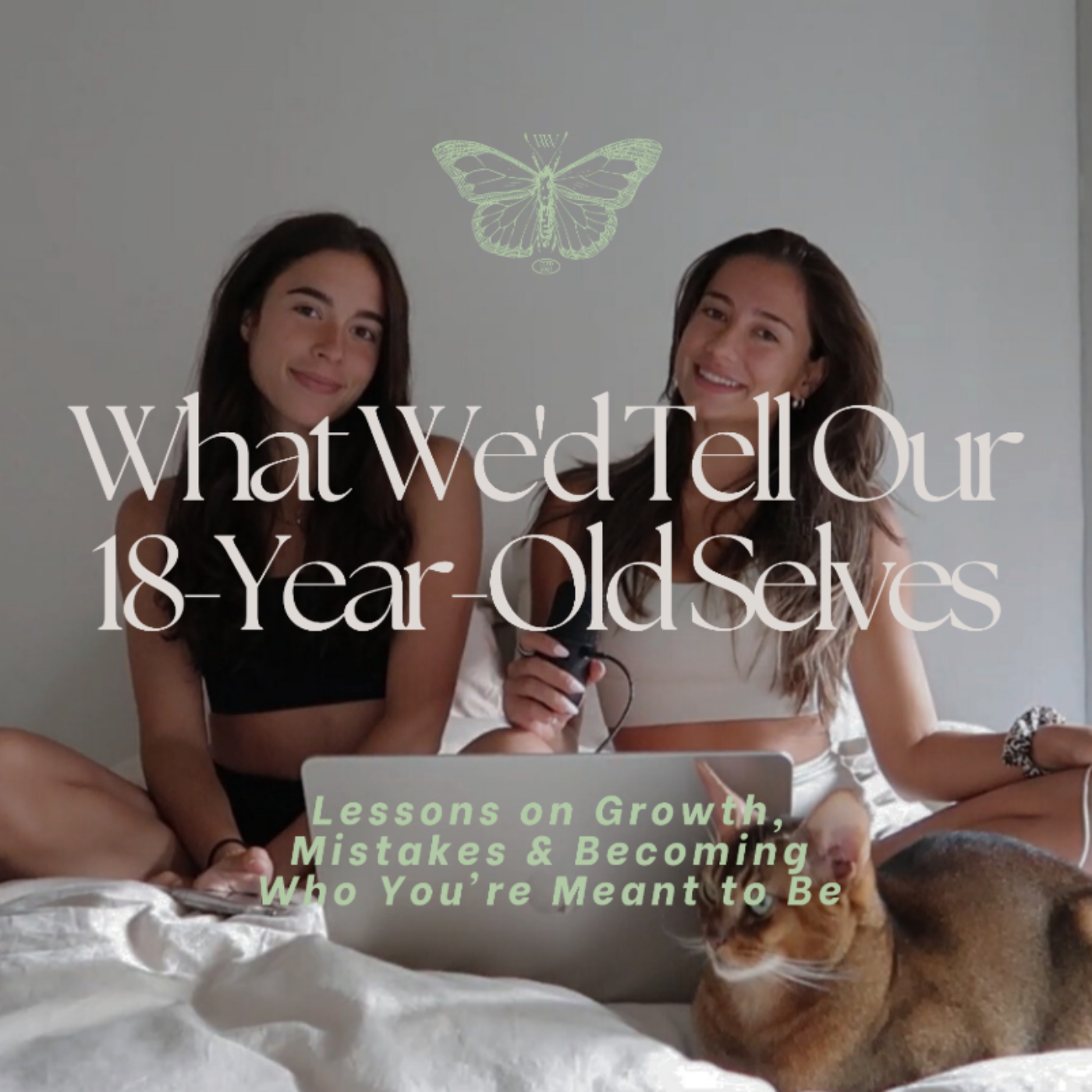 The Wealth and Wellness Studio