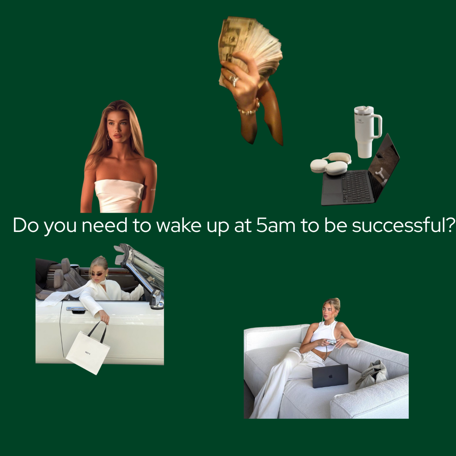 The Wealth and Wellness Studio