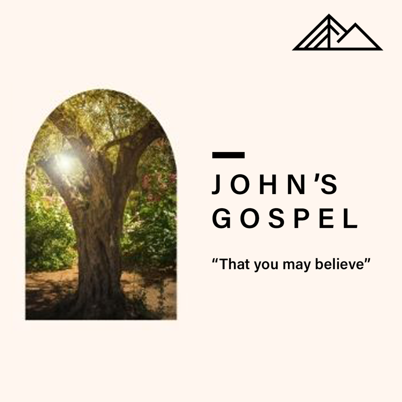 The Gospel of John "Christ's Witnesses - John 5: 25-47" episode artwork