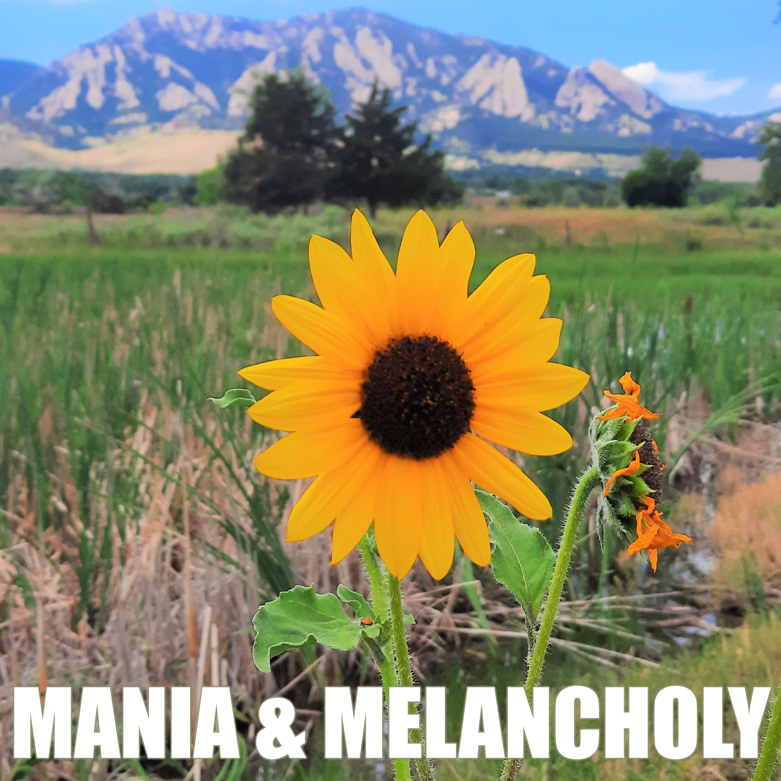 Mania & Melancholy