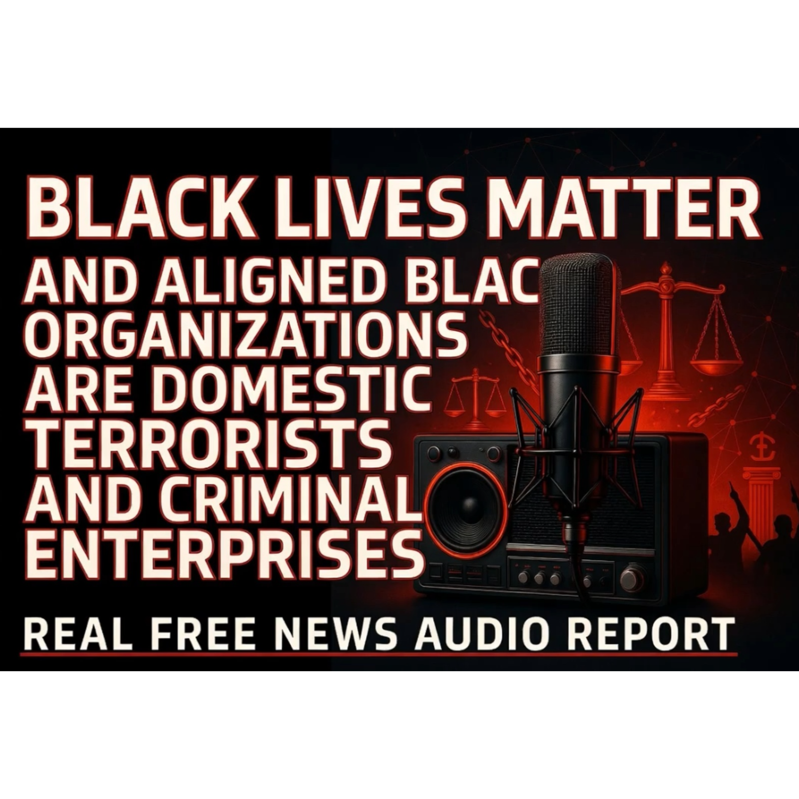 Organizations that are Domestic Terrorists and Criminal Enterprises  episode artwork