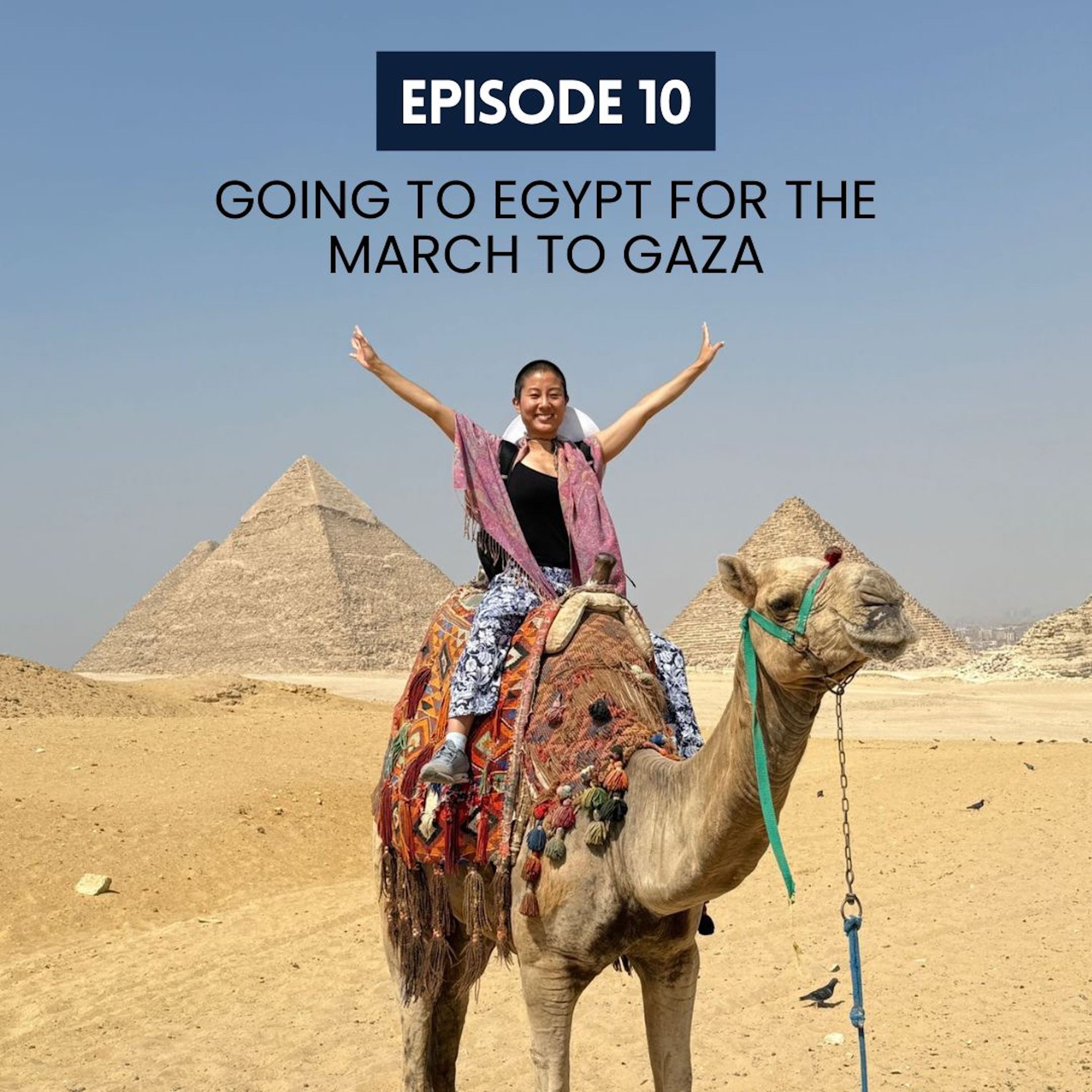 10: Going to Egypt for the Global March To Gaza