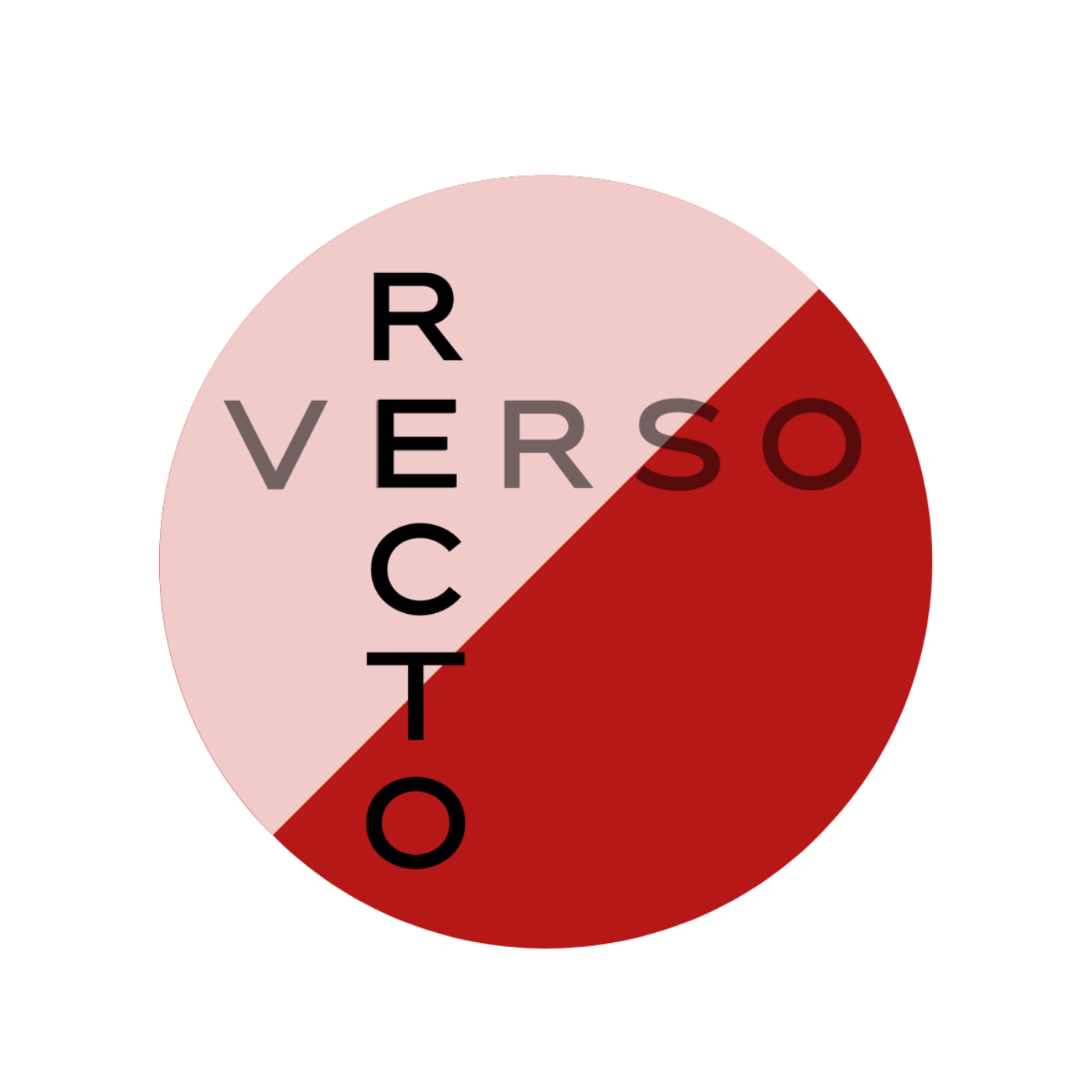 Recto/Verso: Conversations Beyond Art with Liz Asch podcast artwork