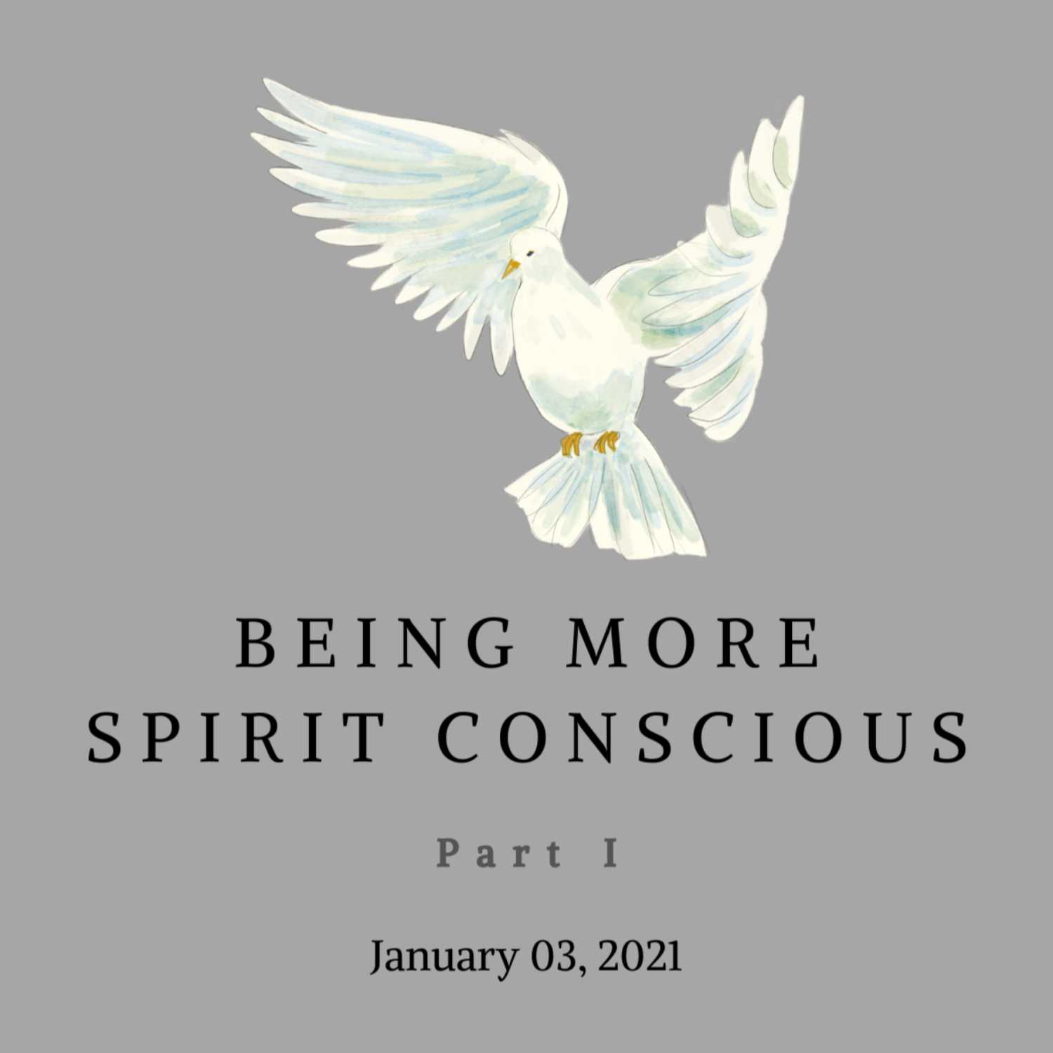 The Sermons of Pastor John W. Ekhardt
